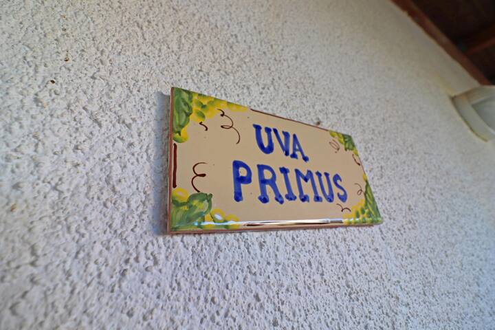 Casa Primus Torre Santo Stefano gallery image 3