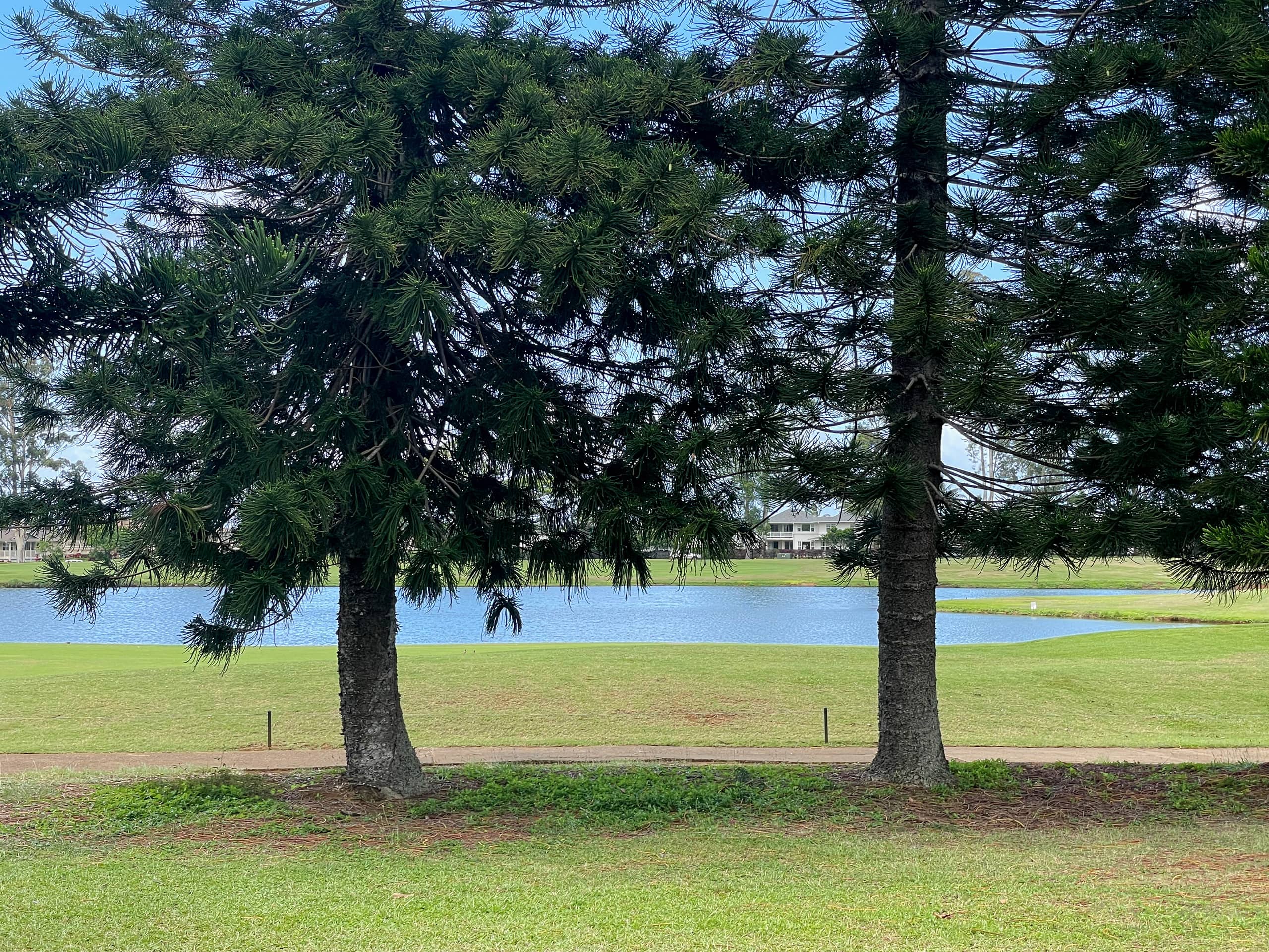 Home in Princeville · ★4.94 · 2 bedrooms · 2 beds · 2 baths - Image 24