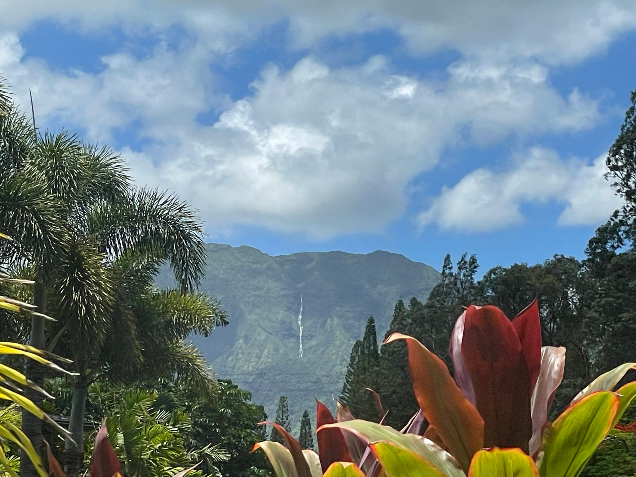 Home in Princeville · ★4.94 · 2 bedrooms · 2 beds · 2 baths - Image 5