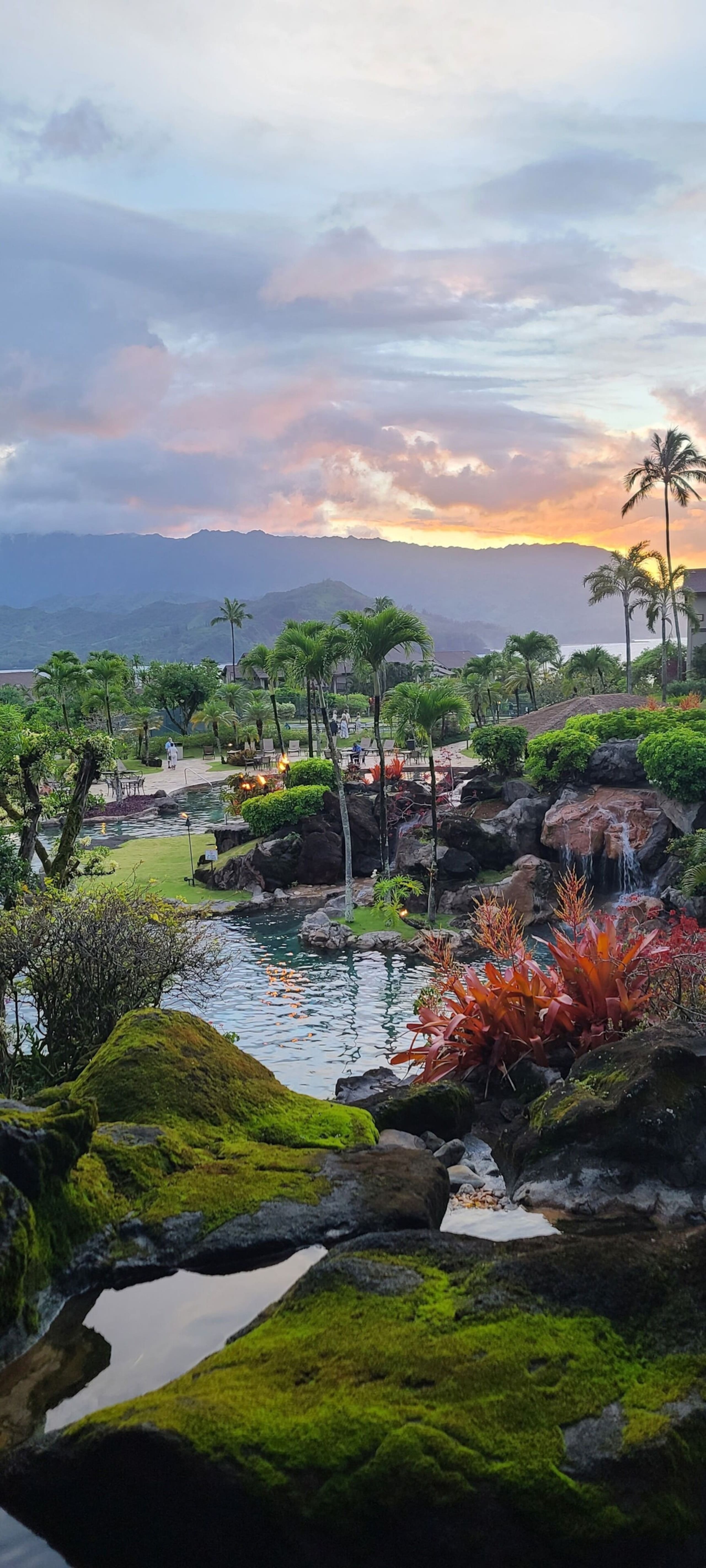 Condo in Princeville · ★4.88 · 1 bedroom · 2 beds · 1 bath - Image 4