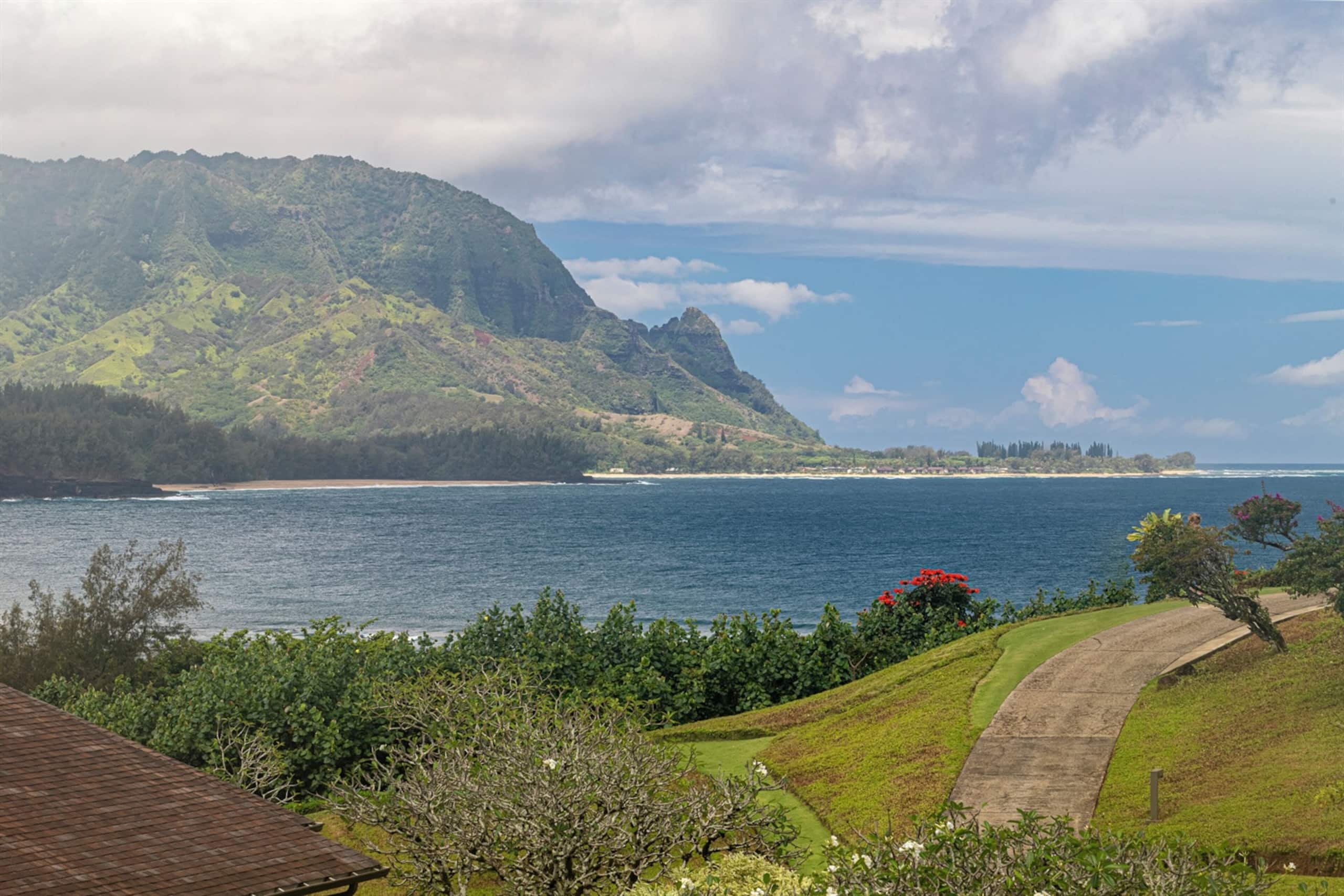 Condo in Princeville · ★4.88 · 1 bedroom · 2 beds · 1 bath - Image 39