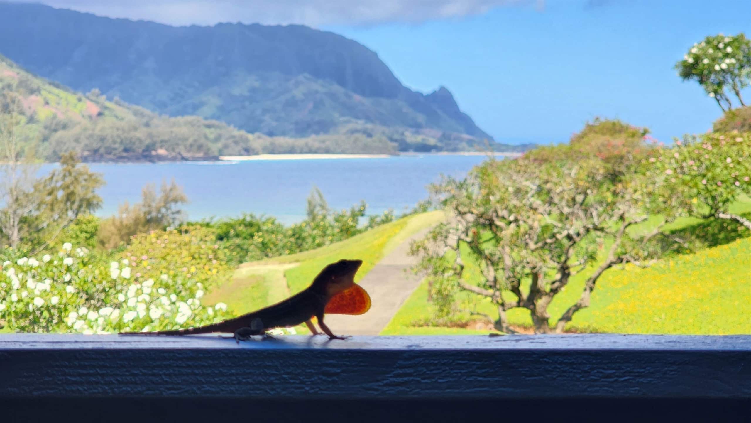 Condo in Princeville · ★4.88 · 1 bedroom · 2 beds · 1 bath - Image 42