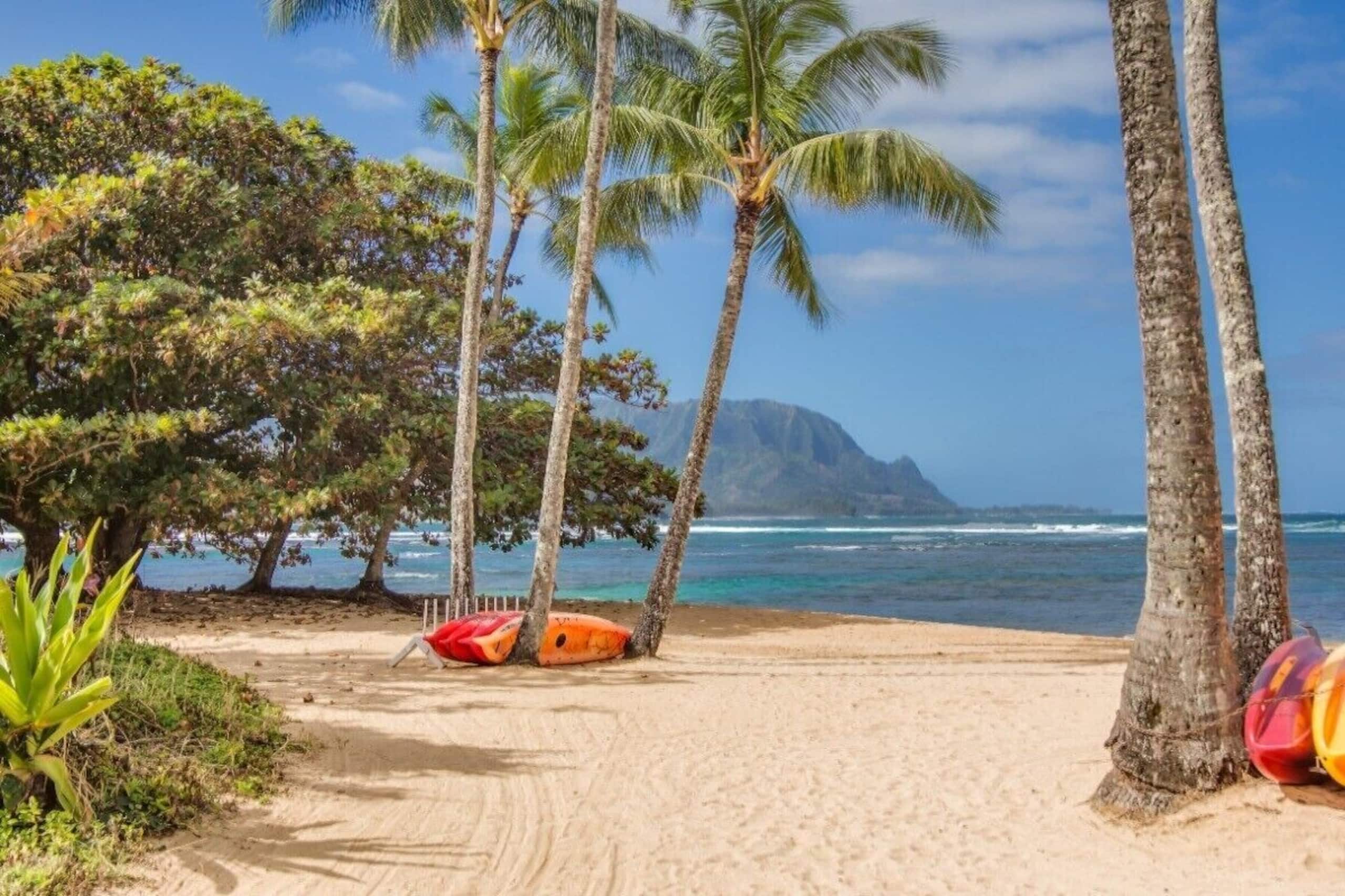 Condo in Princeville · ★4.88 · 1 bedroom · 2 beds · 1 bath - Image 28