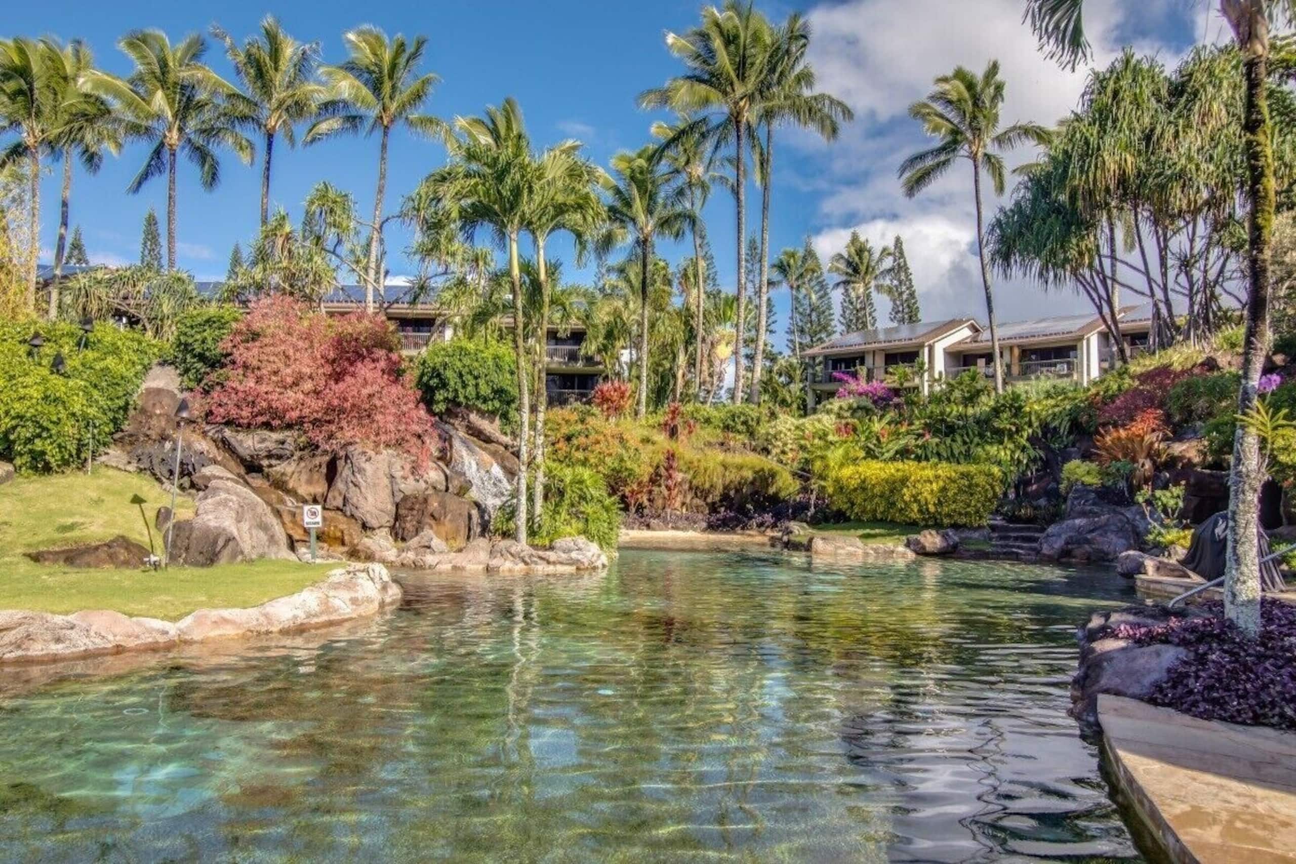 Condo in Princeville · ★4.88 · 1 bedroom · 2 beds · 1 bath - Image 14