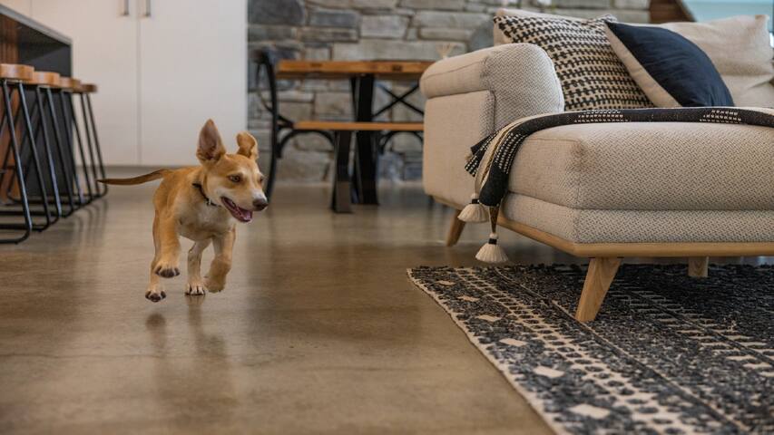 Serendipity – Pool, Pets OK, Fireplace, Village gallery image 4