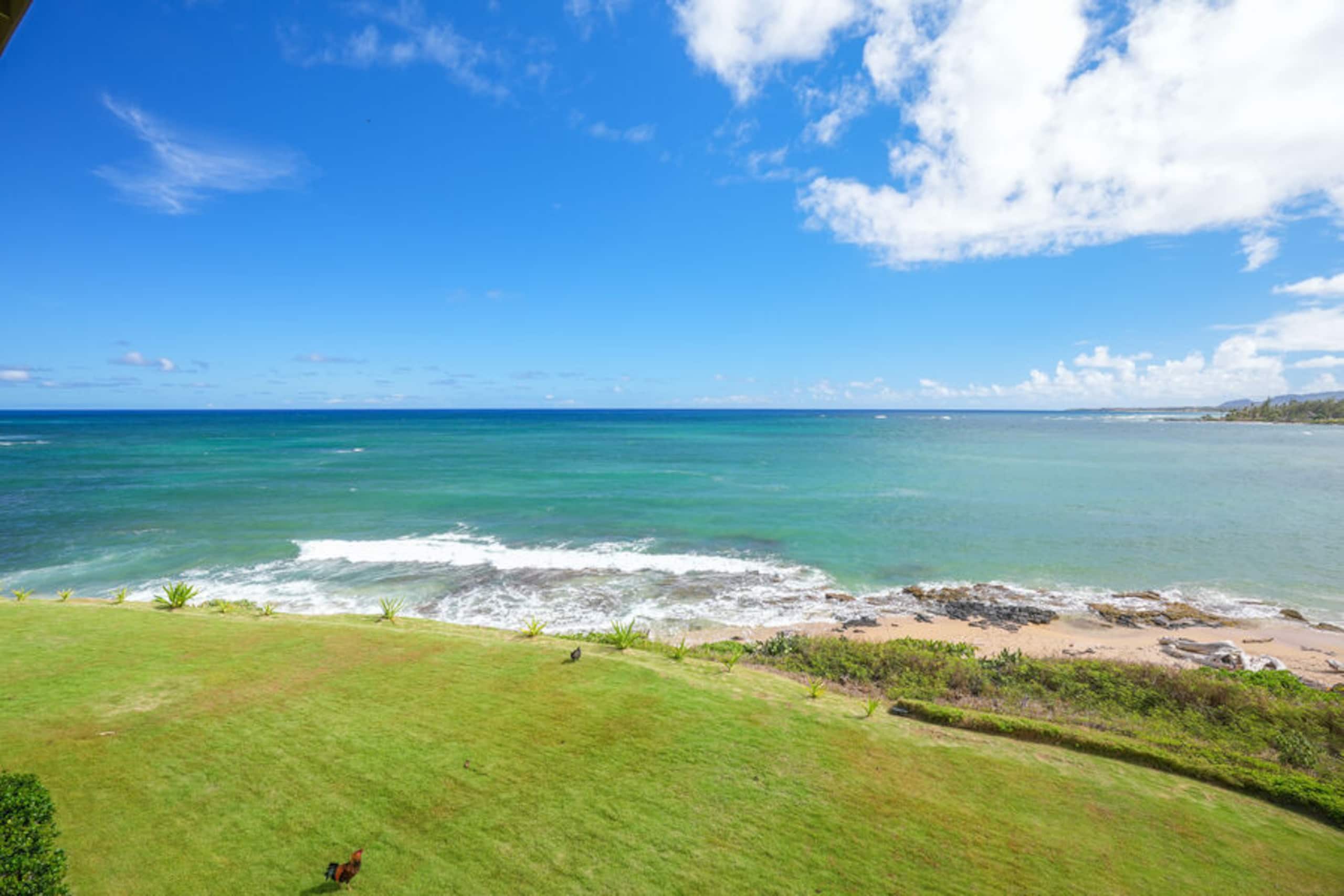 Condo in Kapaa · ★4.88 · 1 bedroom · 1 bed · 1 bath - Photo 29