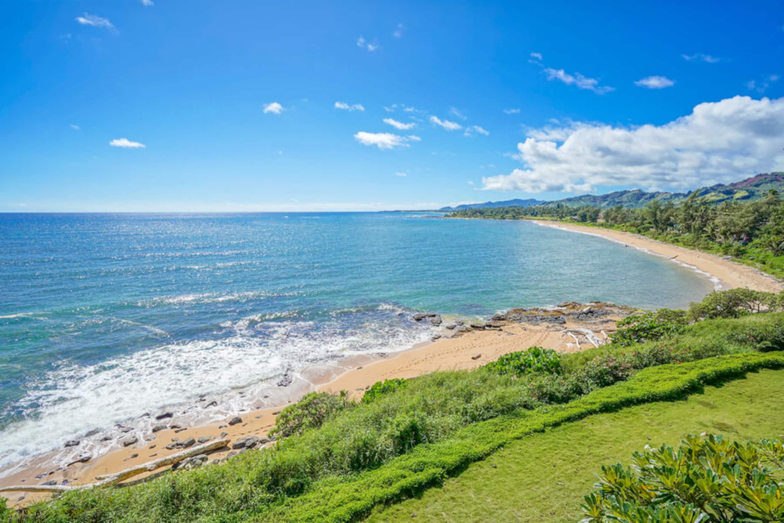 Condo in Kapaa · ★4.88 · 1 bedroom · 1 bed · 1 bath - Photo 24
