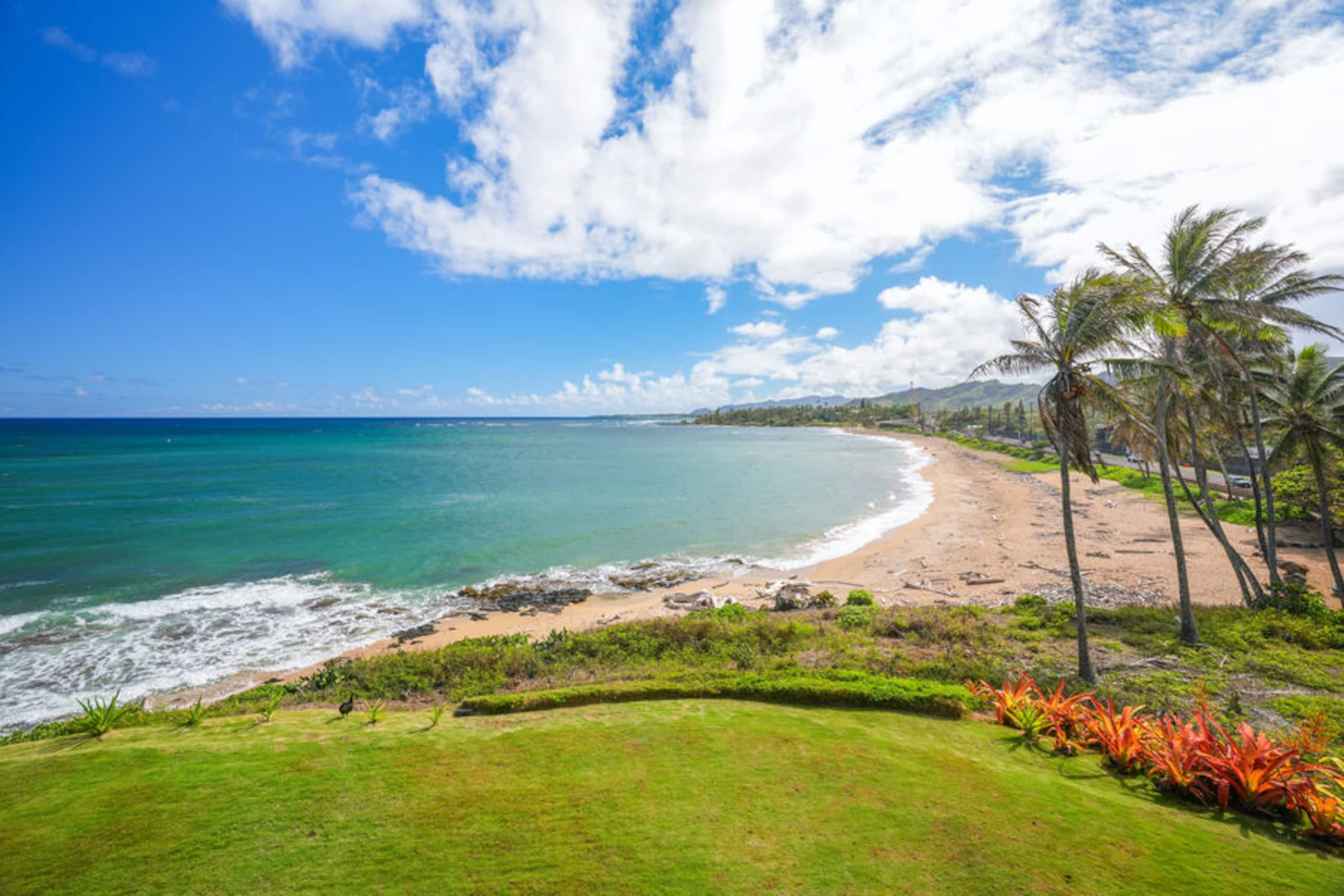 Condo in Kapaa · ★4.88 · 1 bedroom · 1 bed · 1 bath - Photo 22