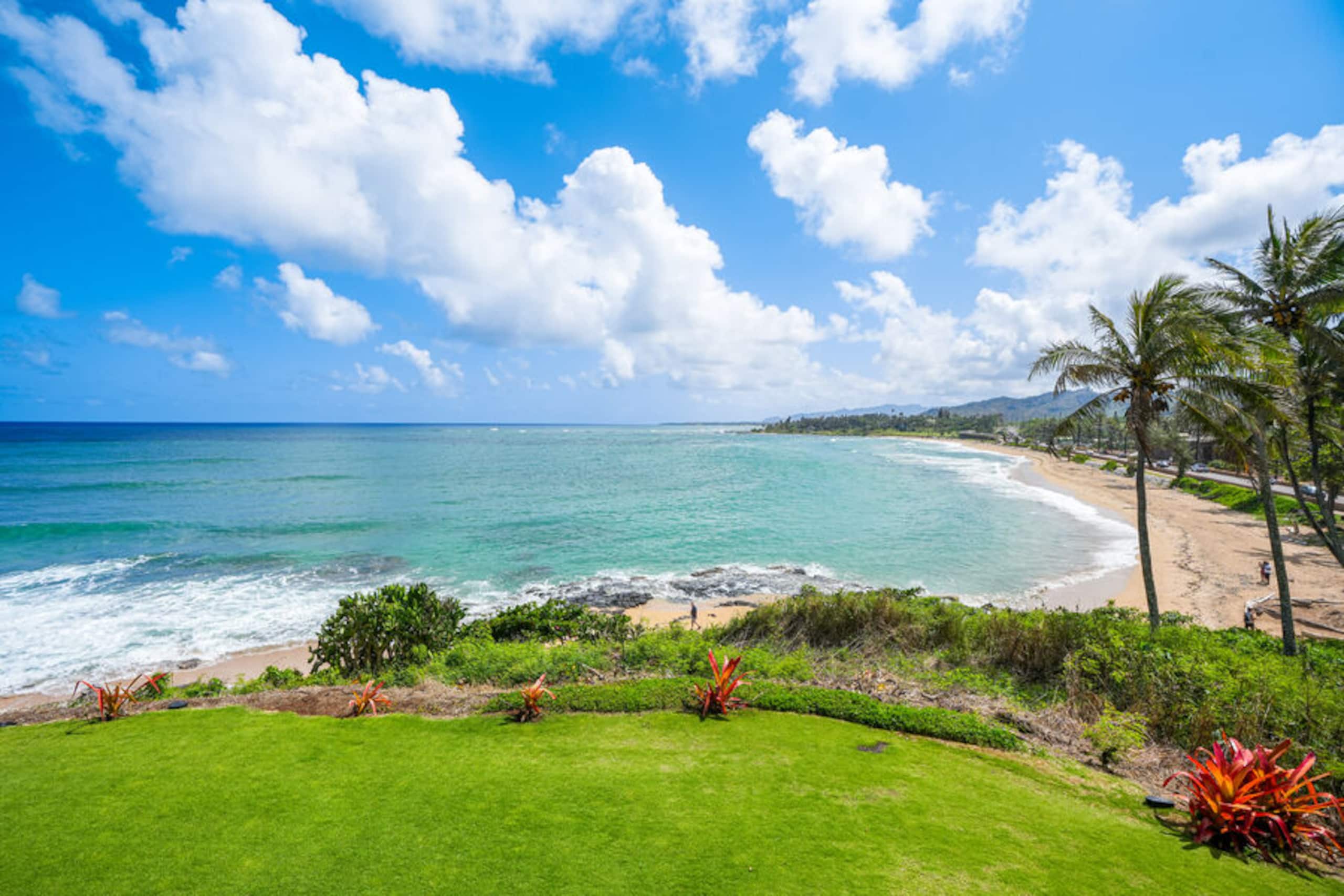 Condo in Kapaa · ★4.88 · 1 bedroom · 1 bed · 1 bath - Photo 19