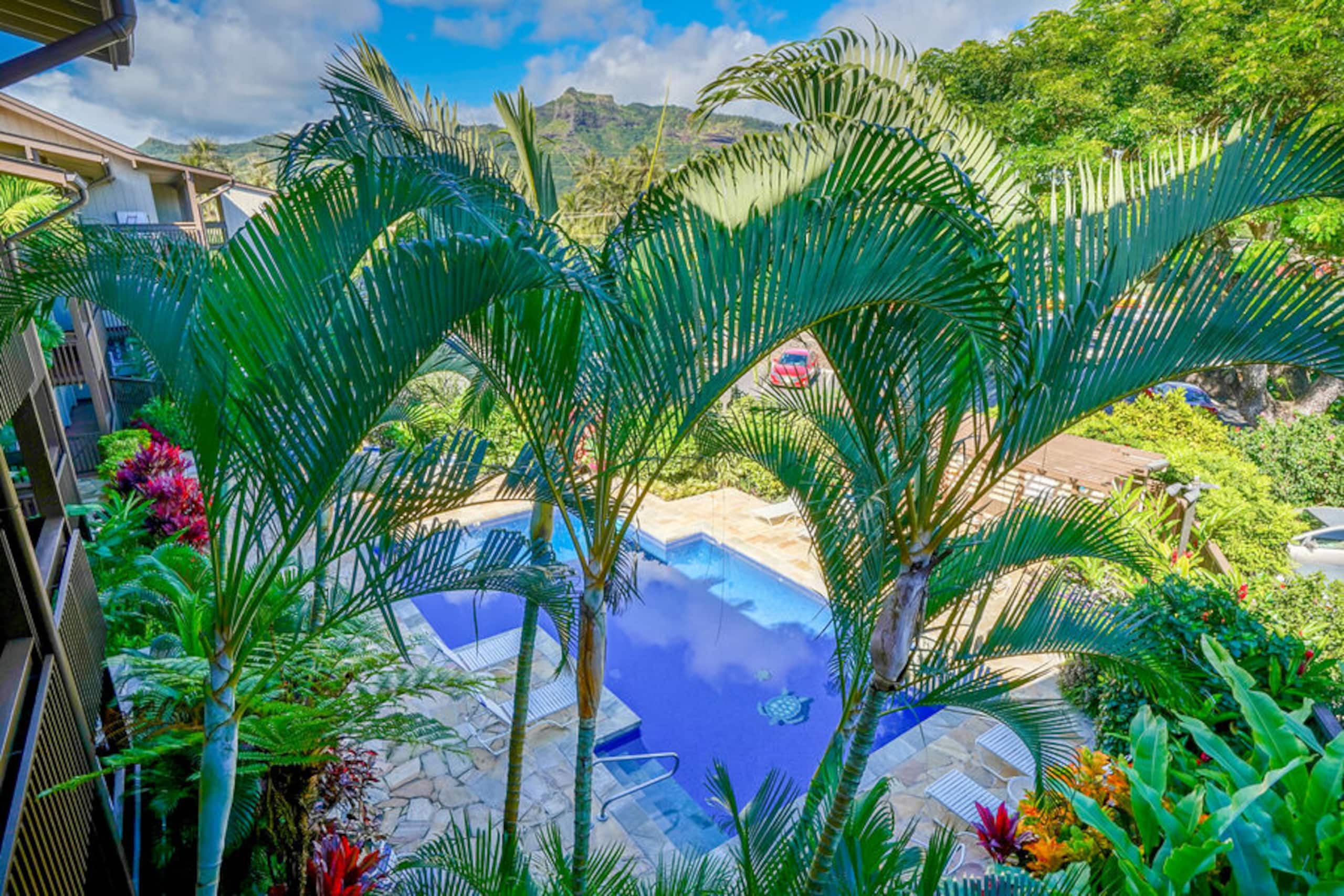 Condo in Kapaa · ★4.88 · 1 bedroom · 1 bed · 1 bath - Photo 16