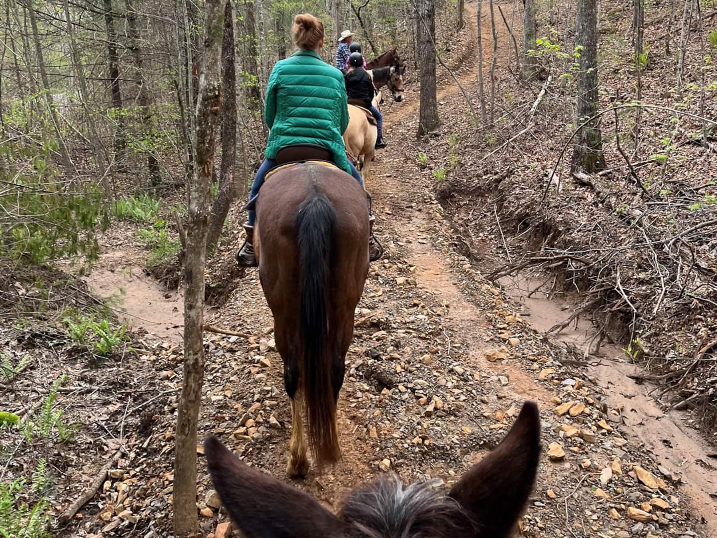 Saddle up for a guided trail ride through the woods at a local stable.