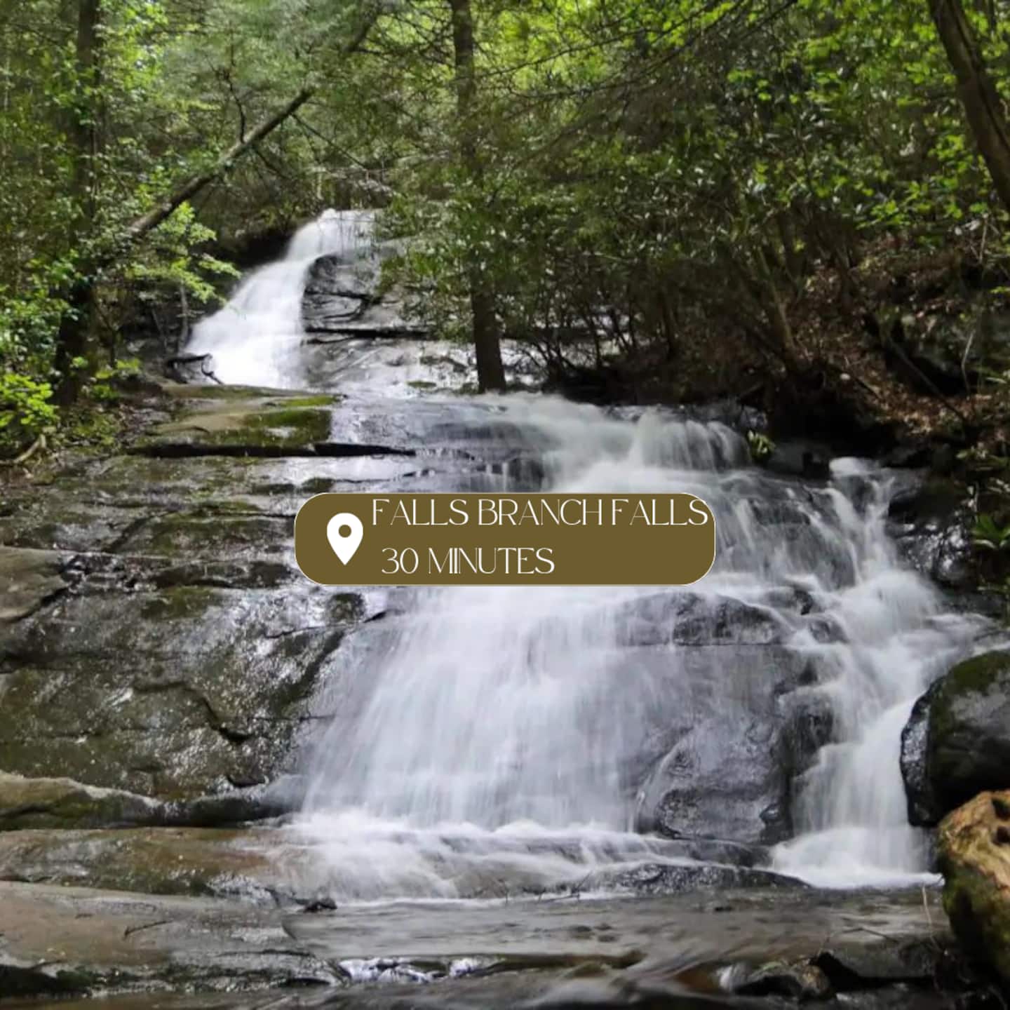 Drive 30 minutes to Falls Branch and hike up to a waterfall tumbling over moss-covered rock