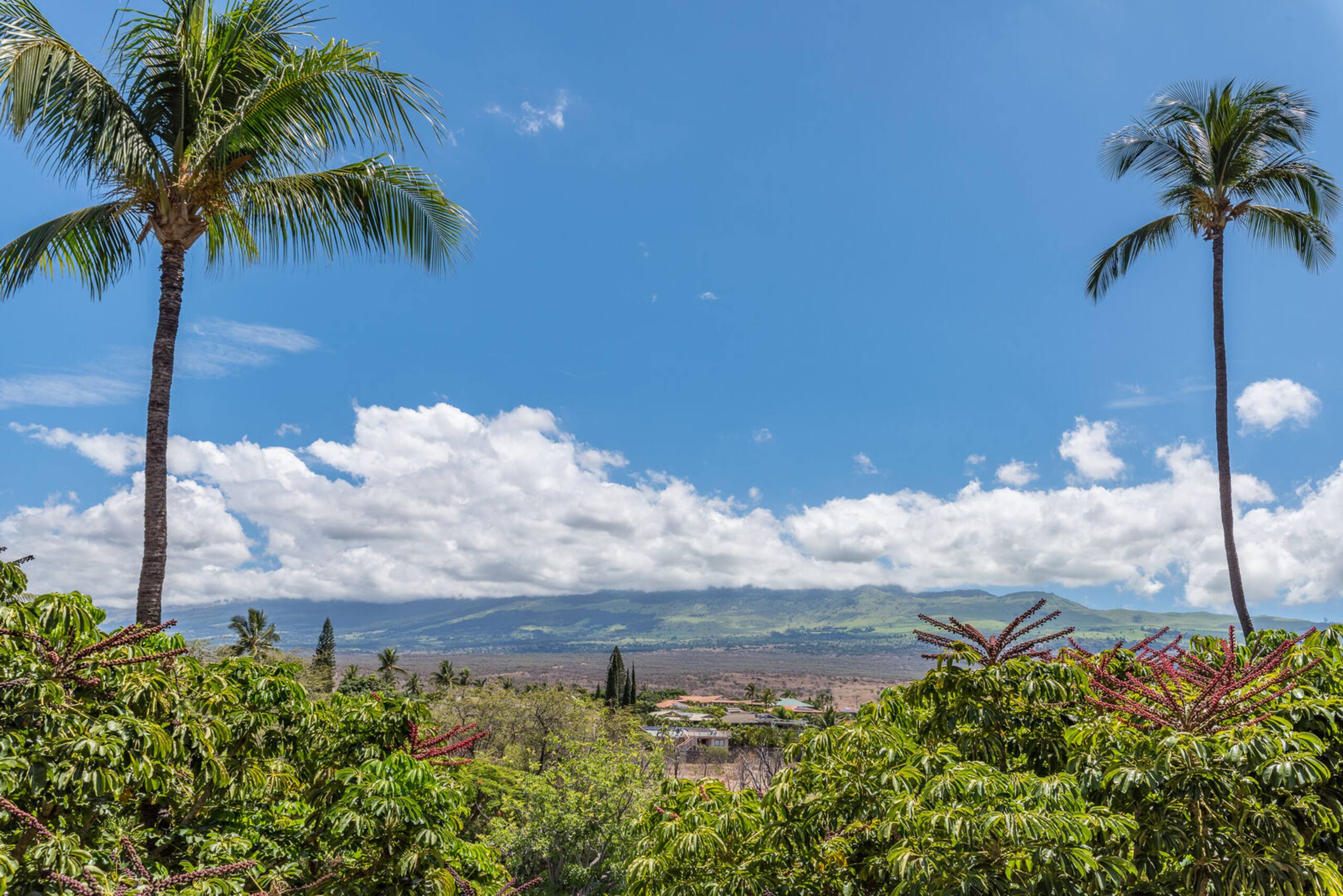 Condo in Kihei · ★4.67 · 1 bedroom · 2 beds · 1 private bath - Image 39
