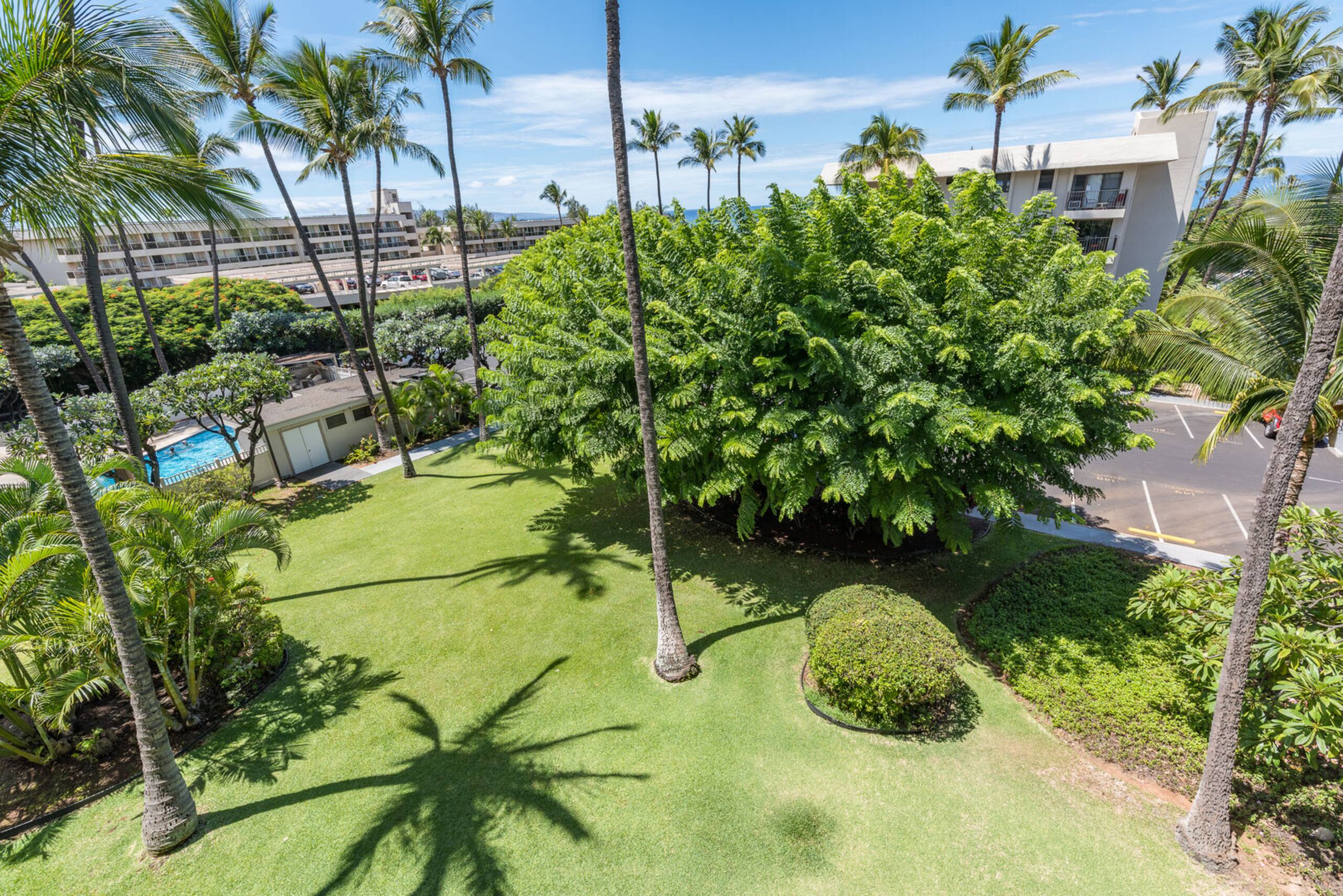 Condo in Kihei · ★4.67 · 1 bedroom · 2 beds · 1 private bath - Image 22