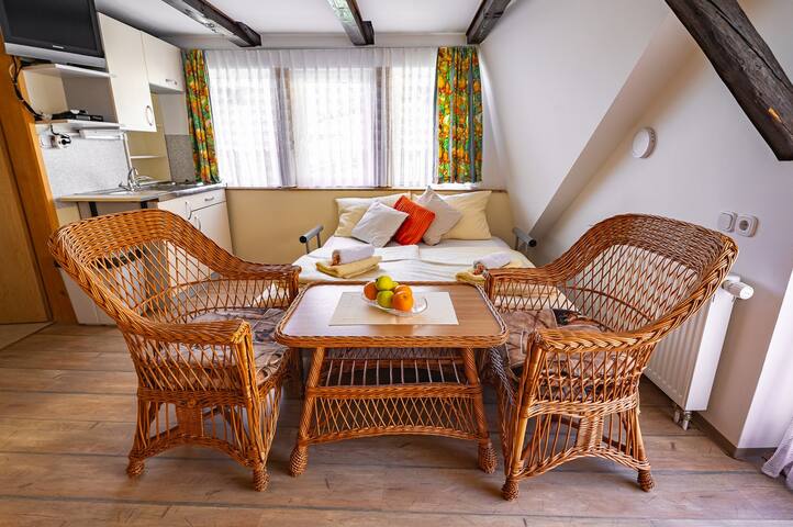 Slovenia Traditional Guest House managed Airbnb listing 2