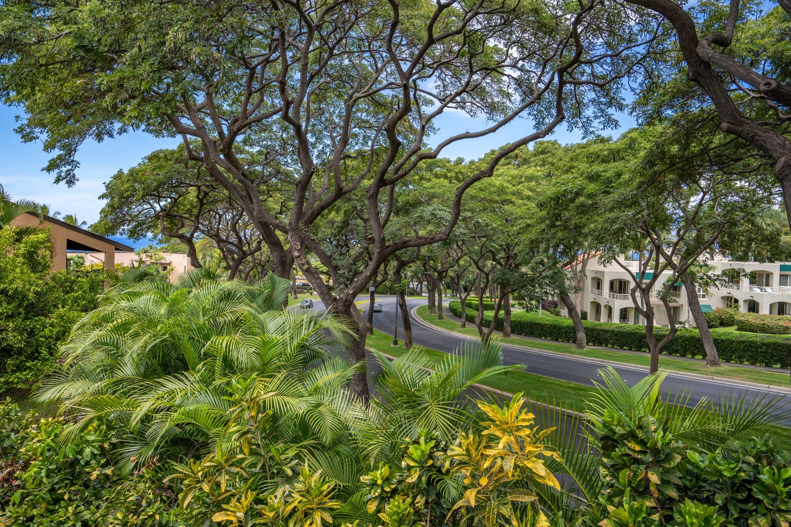 Condo in Kihei · ★4.59 · 1 bedroom · 2 beds · 2 baths - Image 3