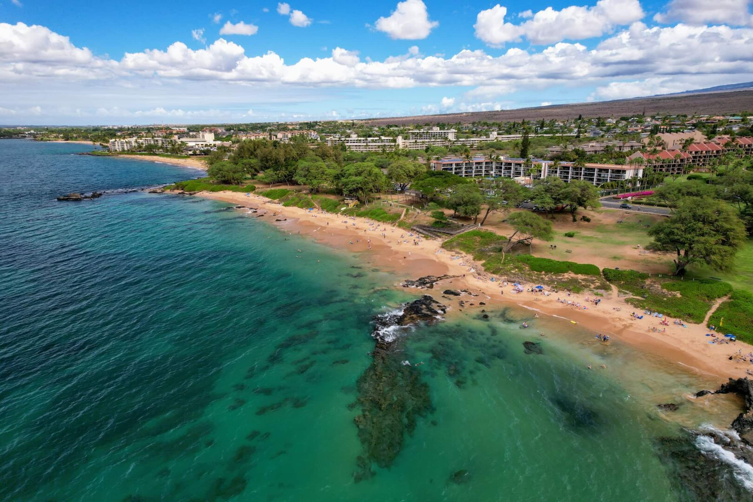 Condo in Kihei · ★4.83 · 1 bedroom · 2 beds · 1 bath - Image 56