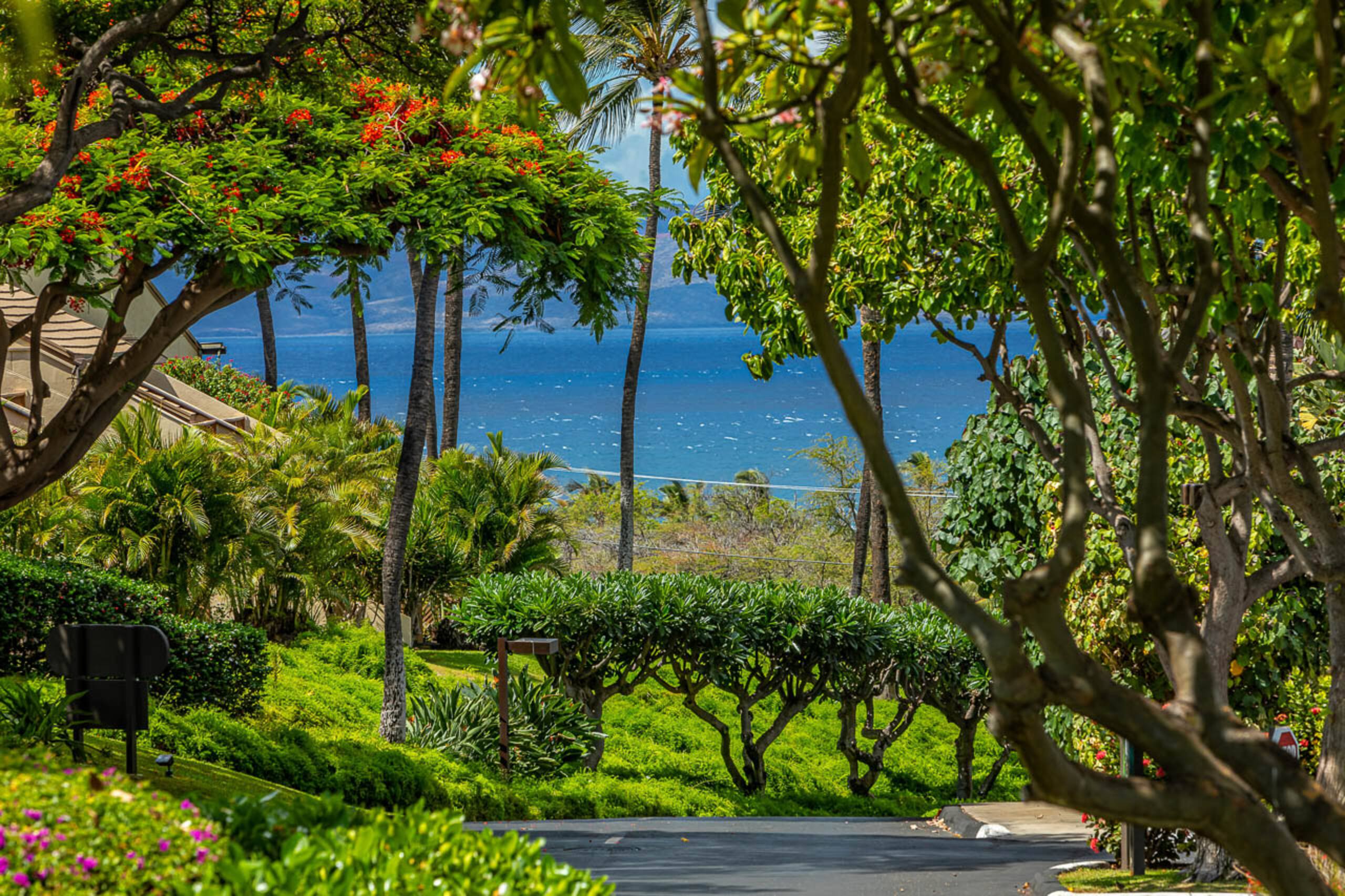 Condo in Kihei · ★4.88 · 2 bedrooms · 4 beds · 2 shared baths - Image 62