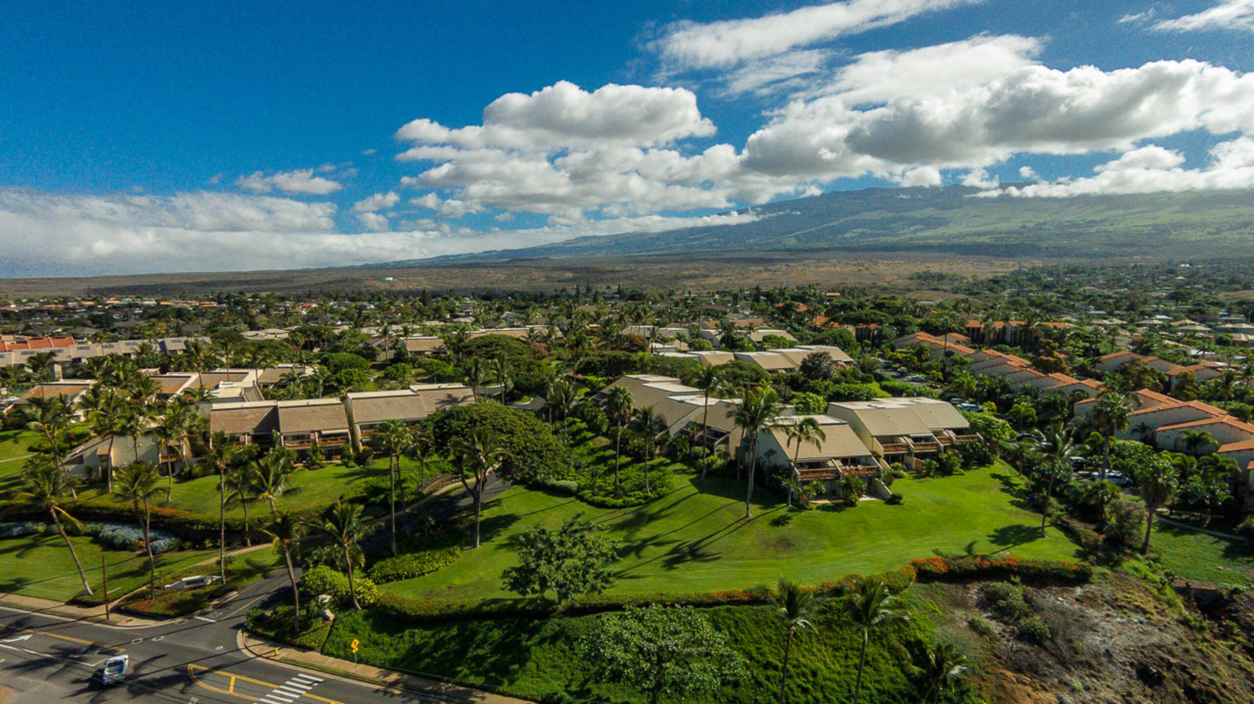 Condo in Kihei · ★4.88 · 2 bedrooms · 4 beds · 2 shared baths - Image 67