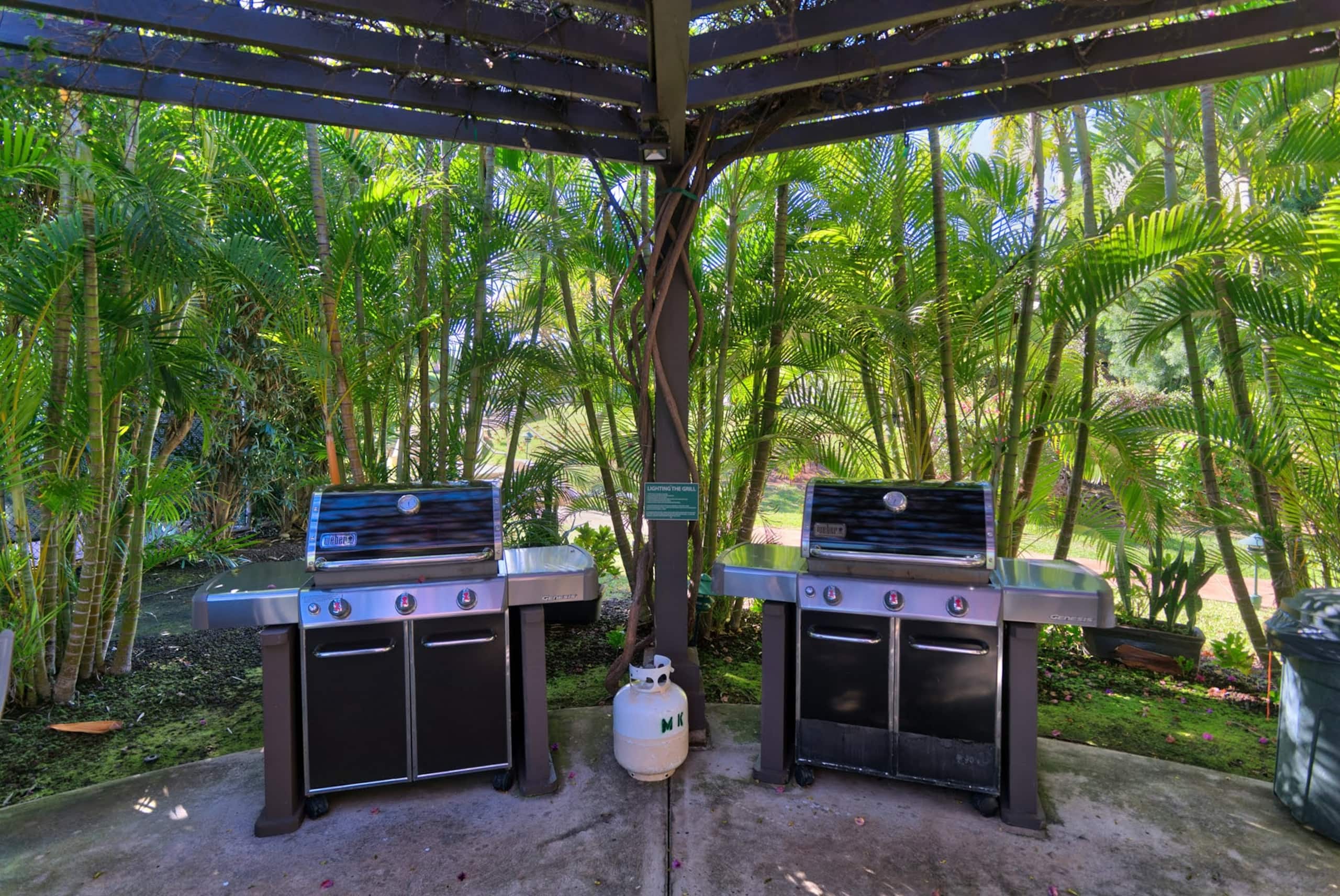 Condo in Kihei · ★4.88 · 2 bedrooms · 4 beds · 2 shared baths - Image 48