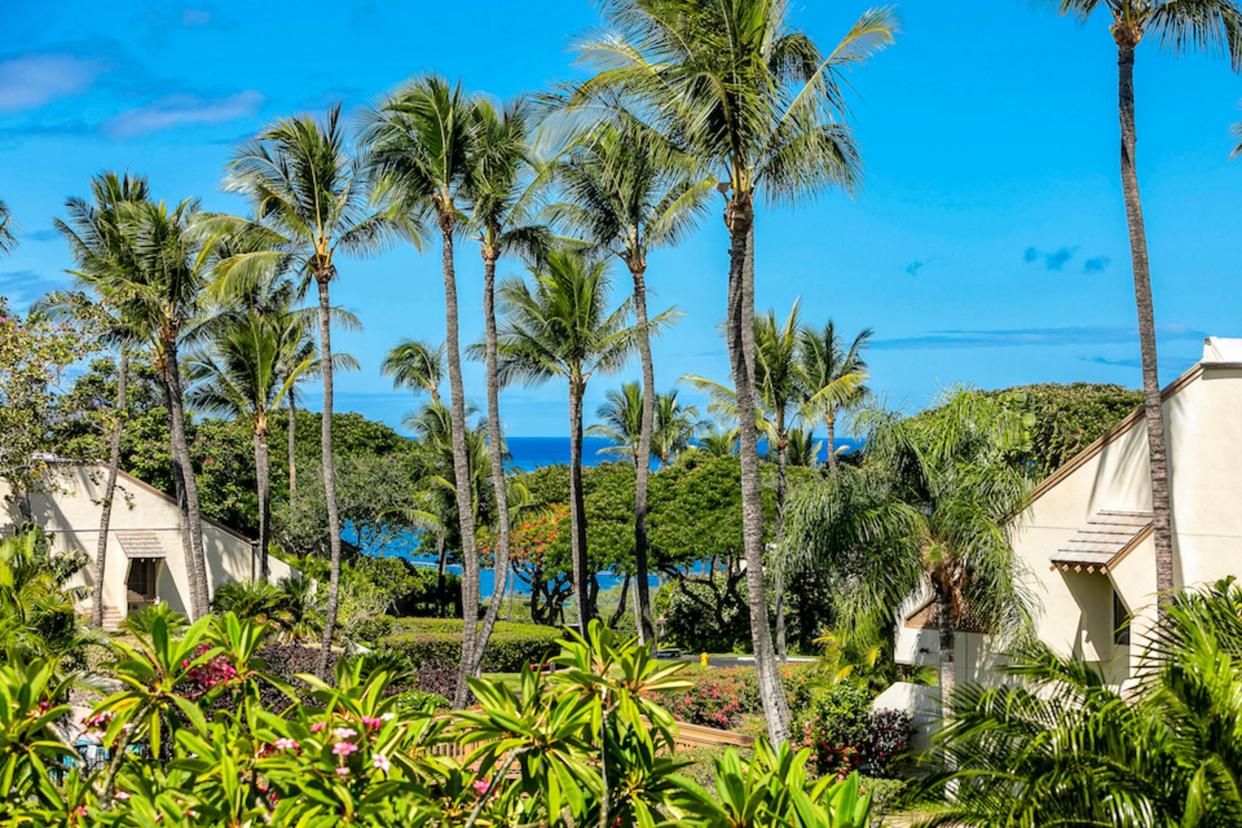 Condo in Kihei · ★4.88 · 2 bedrooms · 4 beds · 2 shared baths - Image 61