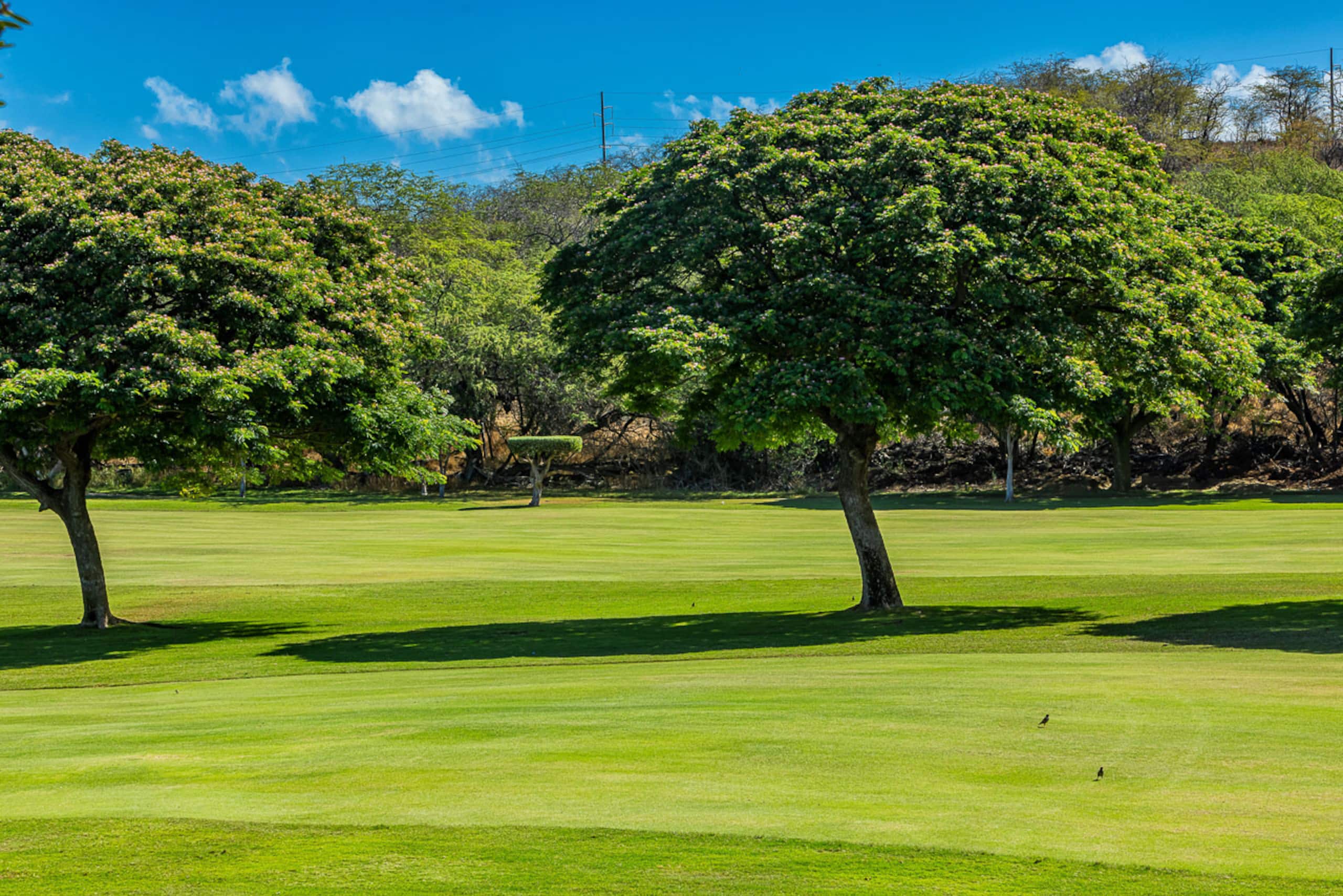 Condo in Wailea · ★4.74 · 1 bedroom · 1 bed · 2 baths - Image 48