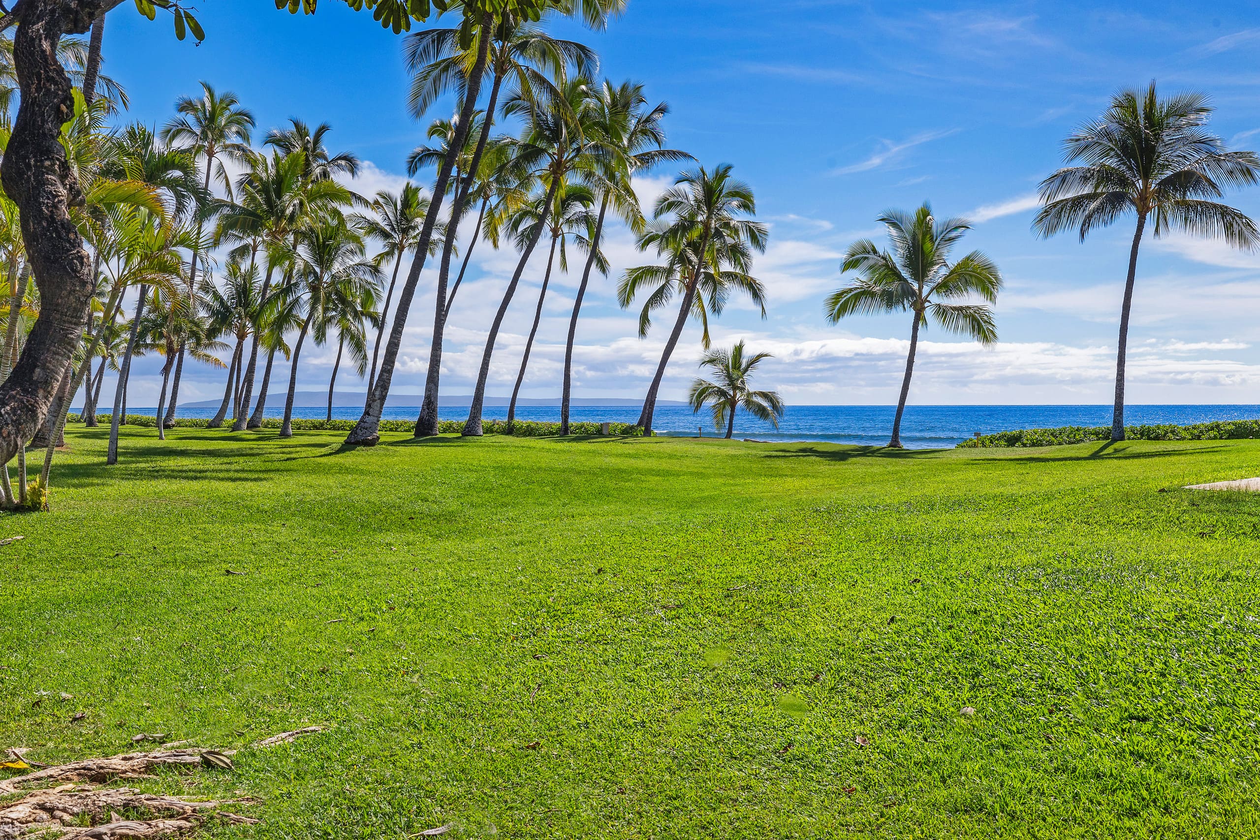 Townhouse in Lahaina · ★4.83 · 2 bedrooms · 2 beds · 2.5 baths - Image 39
