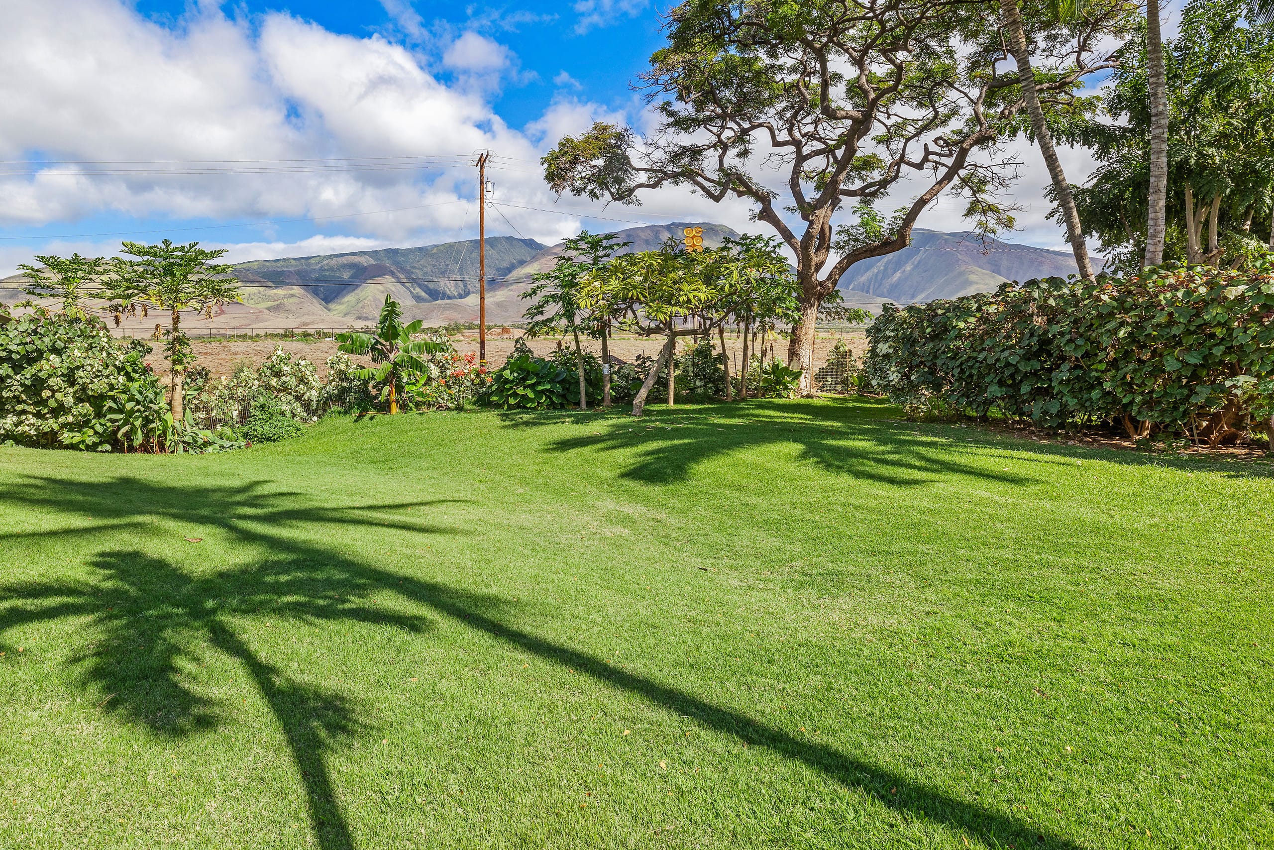 Townhouse in Lahaina · ★4.83 · 2 bedrooms · 2 beds · 2.5 baths - Image 38