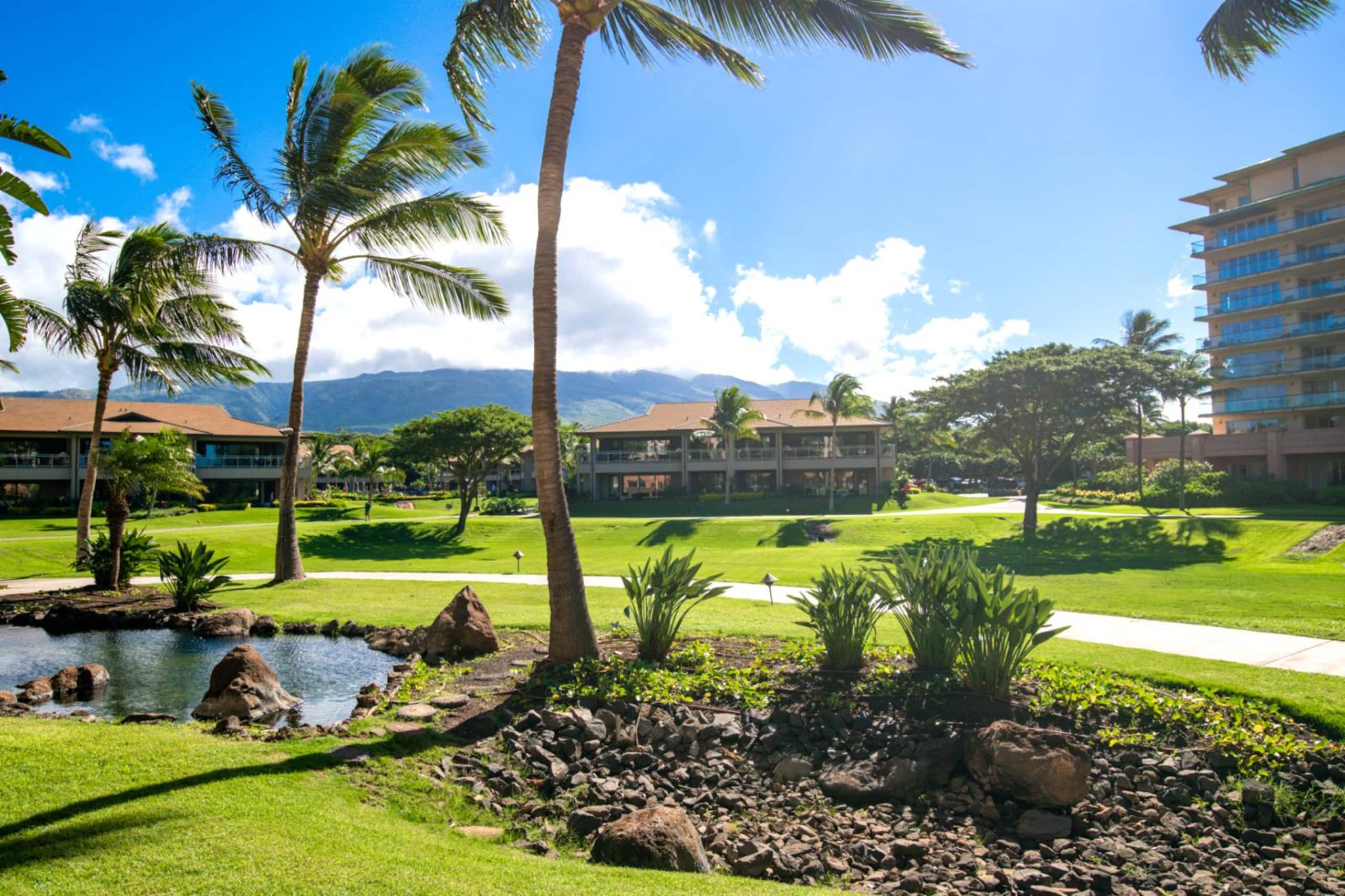 Condo in Lahaina · ★4.8 · 2 bedrooms · 4 beds · 1 bath - Image 4