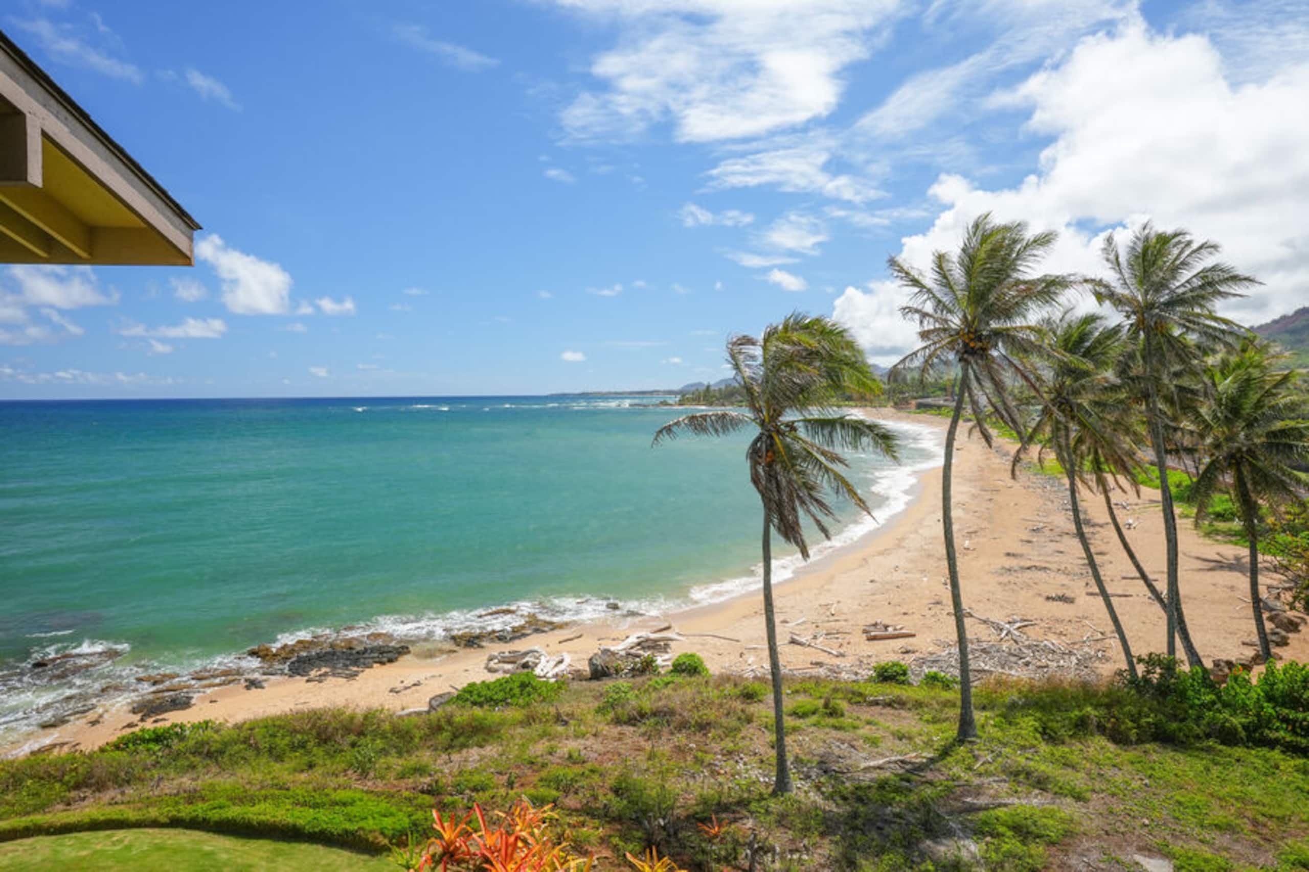 Condo in Kapaa · ★4.61 · 1 bedroom · 1 bed · 1 bath - Photo 27