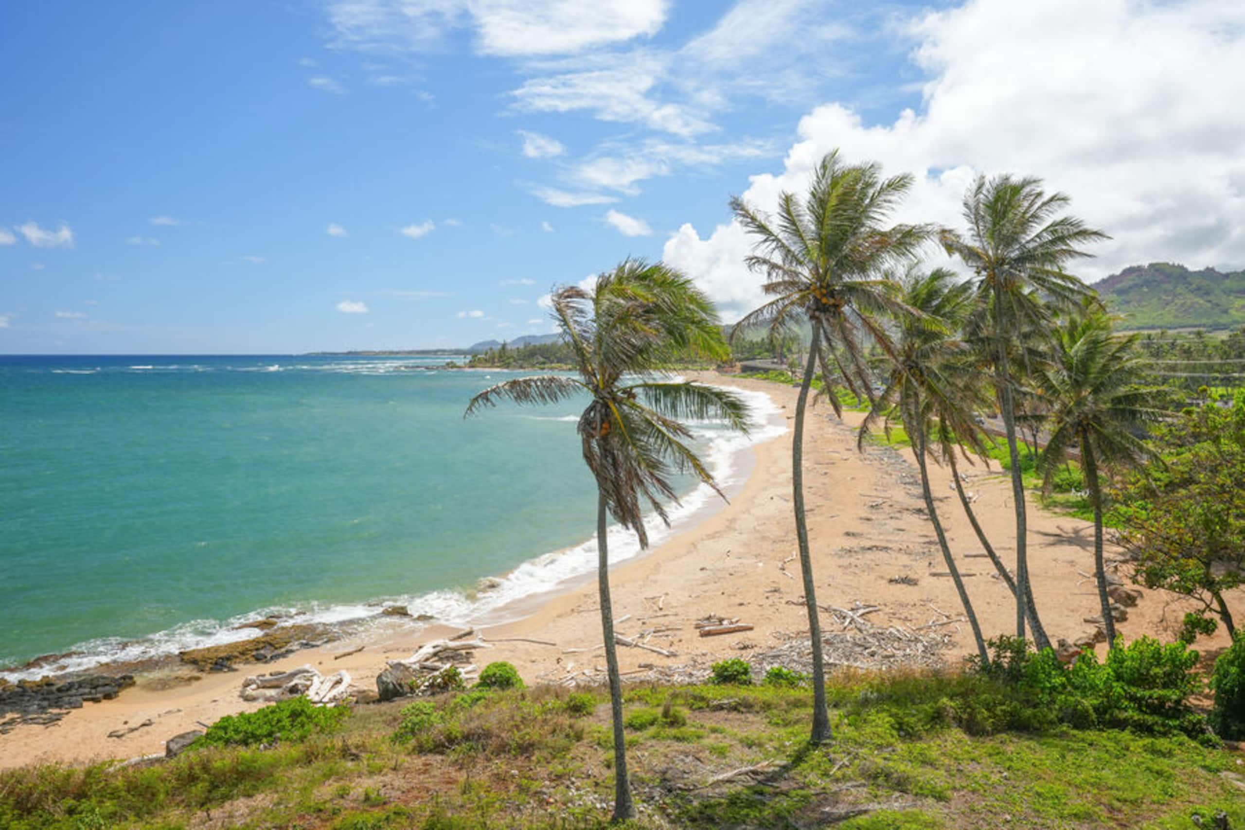 Condo in Kapaa · ★4.61 · 1 bedroom · 1 bed · 1 bath - Photo 26