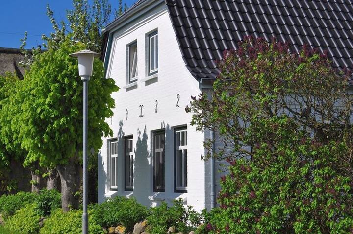Ferienwohnung/app. Für 2 Gäste Mit 82m² In Dunsum (105376) - Norddorf