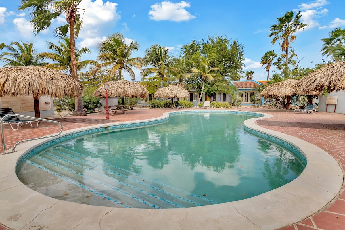 A communal pool with a curvy shape is surrounded by lush palm trees and straw-roofed cabanas. The clear water reflects the blue sky, inviting relaxation. Lounge chairs are positioned nearby, providing spaces for guests to unwind under the shade.