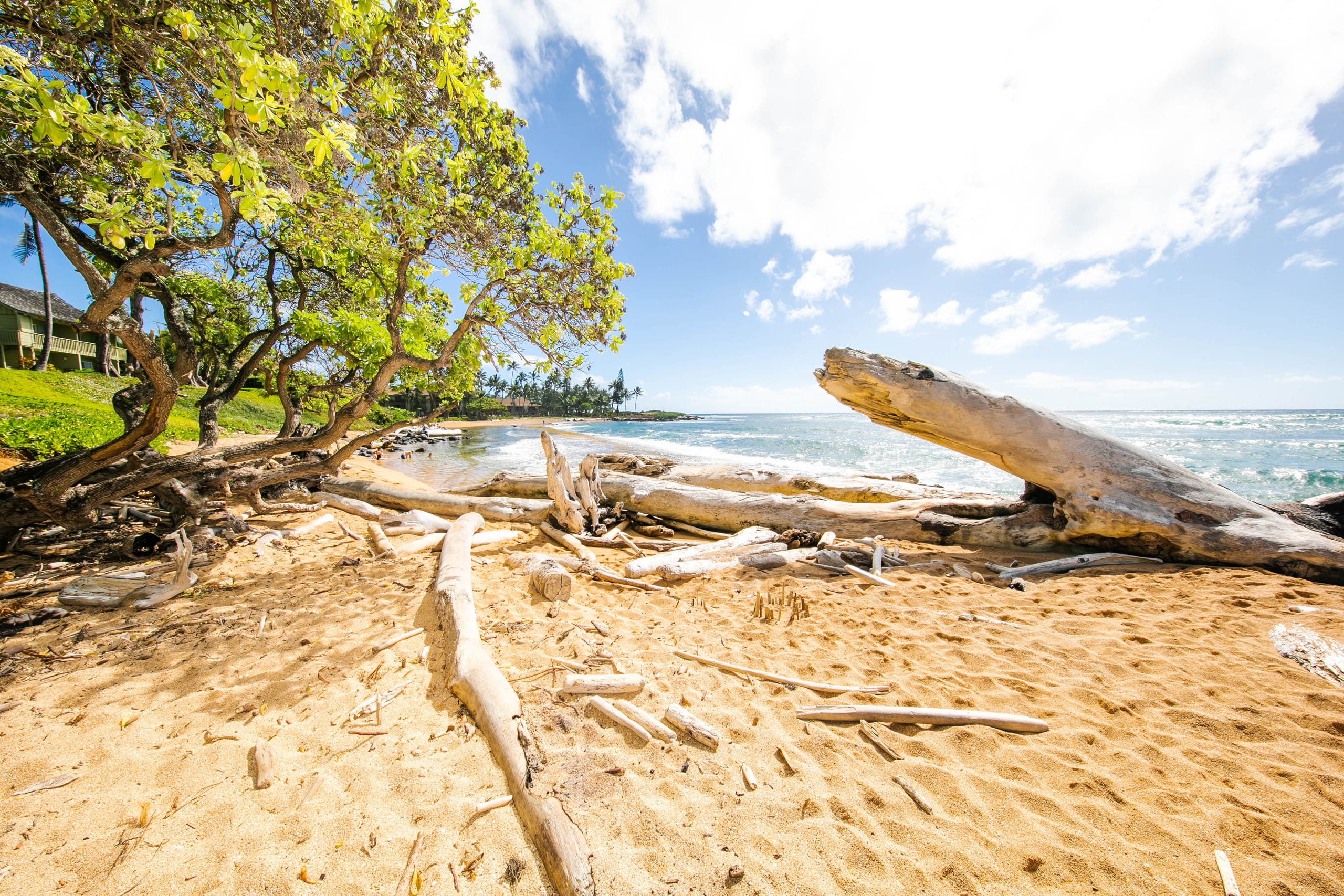 Condo in Kapaa · ★5.0 · 2 bedrooms · 3 beds · 3 baths - Photo 53