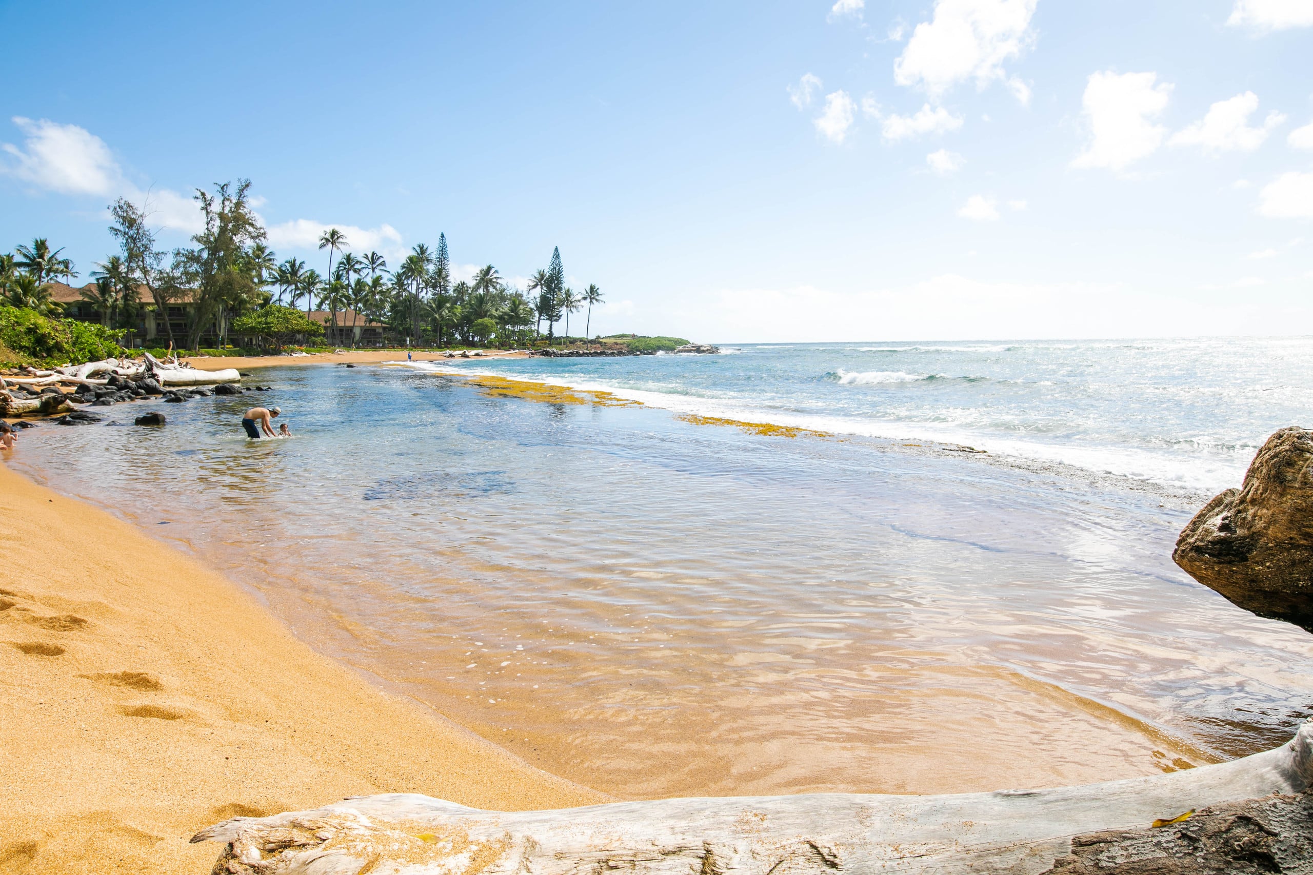 Condo in Kapaa · ★5.0 · 2 bedrooms · 3 beds · 3 baths - Photo 51