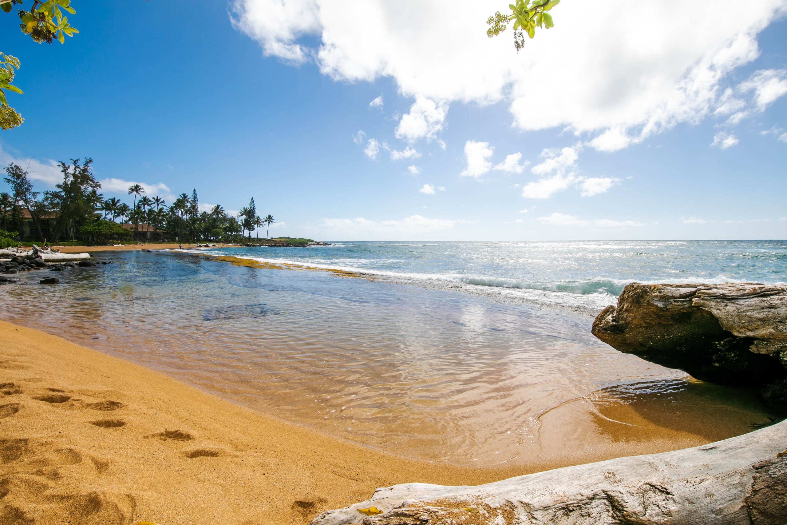 Condo in Kapaa · ★5.0 · 2 bedrooms · 3 beds · 3 baths - Photo 50