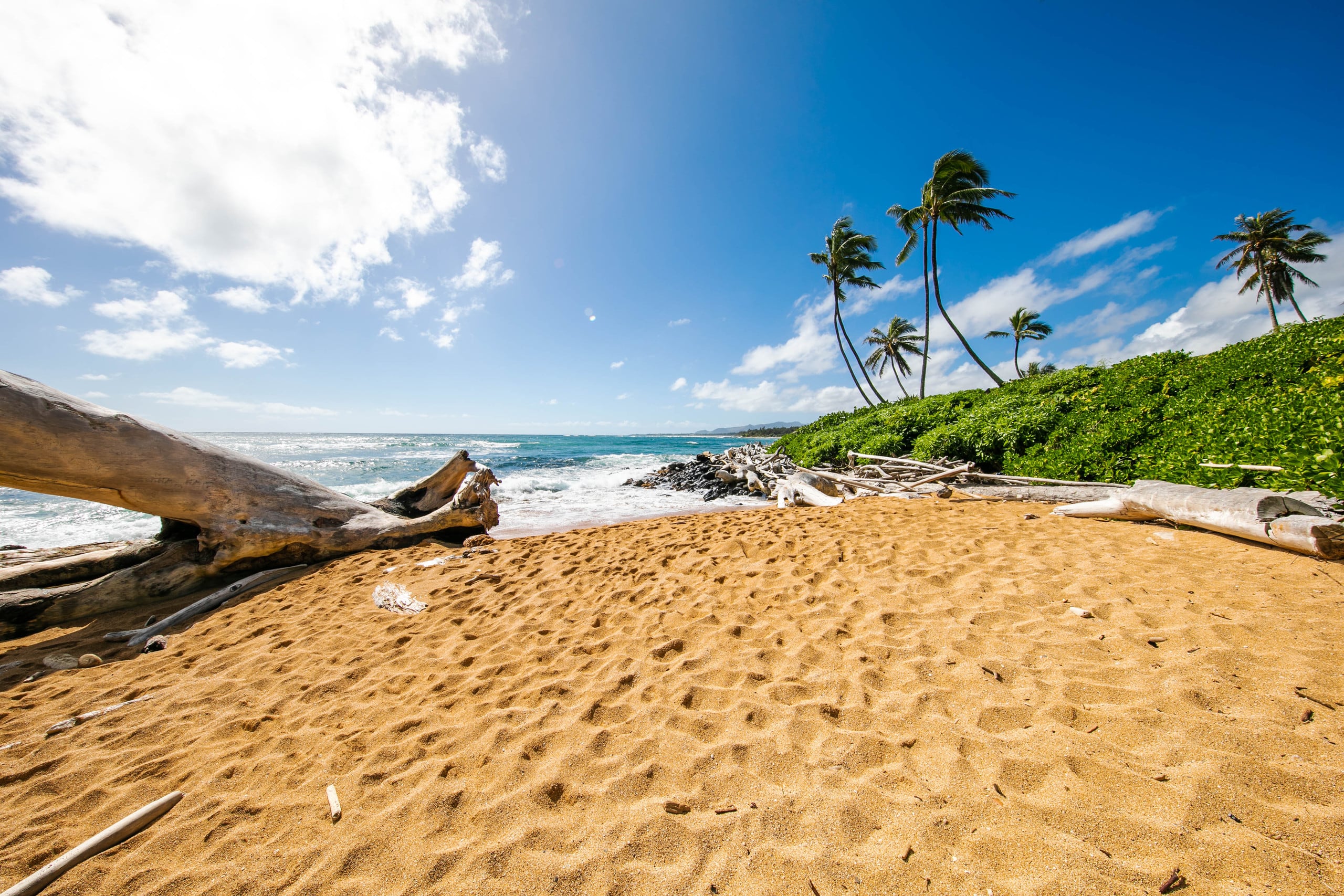 Condo in Kapaa · ★5.0 · 2 bedrooms · 3 beds · 3 baths - Photo 52
