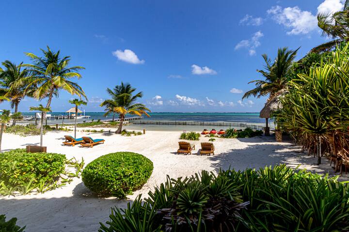 Two Luxury Villas, 9 Bedrooms, Sleeps 16, 2 Pools.