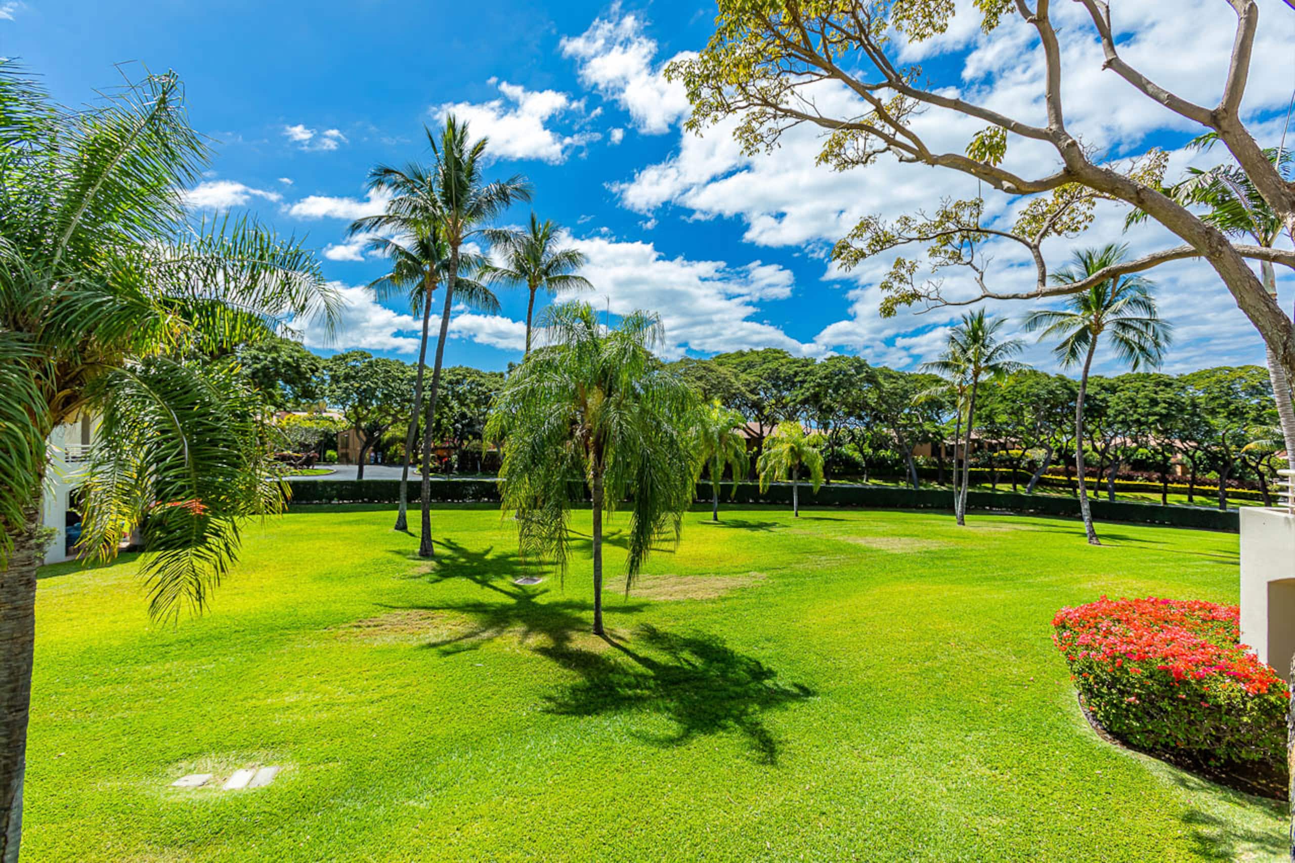 Condo in Kihei · ★5.0 · 2 bedrooms · 3 beds · 2 baths - Image 7