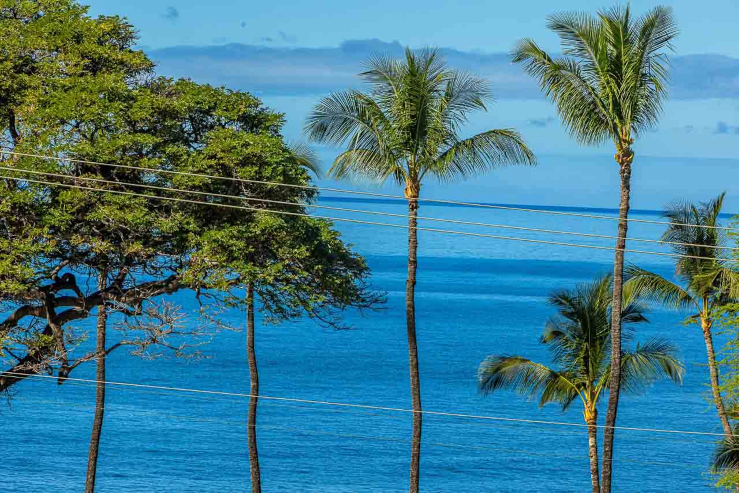 Condo in Kihei · ★4.82 · 2 bedrooms · 3 beds · 2 shared baths - Image 7