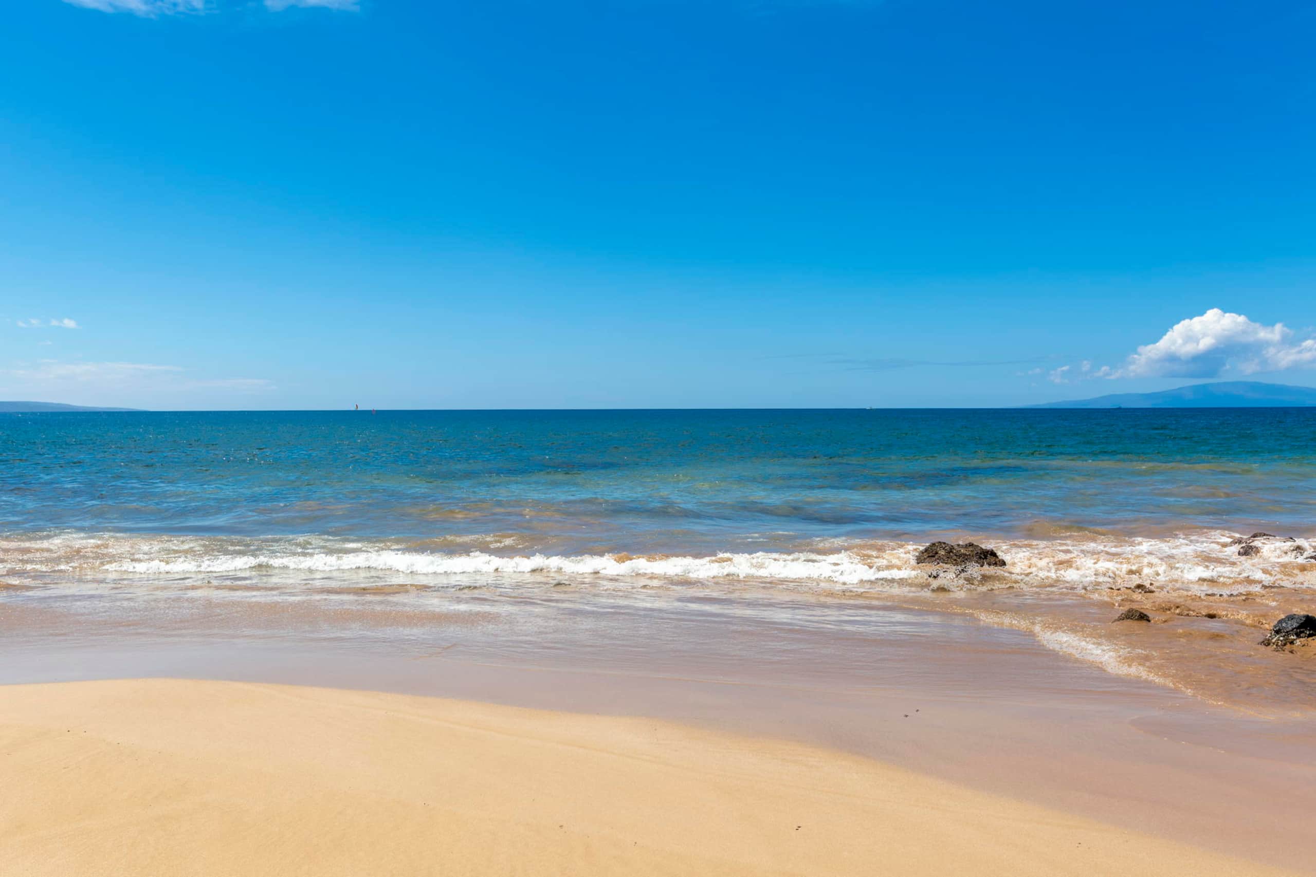 Condo in Kihei · ★4.82 · 2 bedrooms · 3 beds · 2 shared baths - Image 53