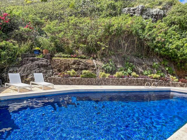 Hale Lani: Luxury Ocean View Home w/ Private Pool