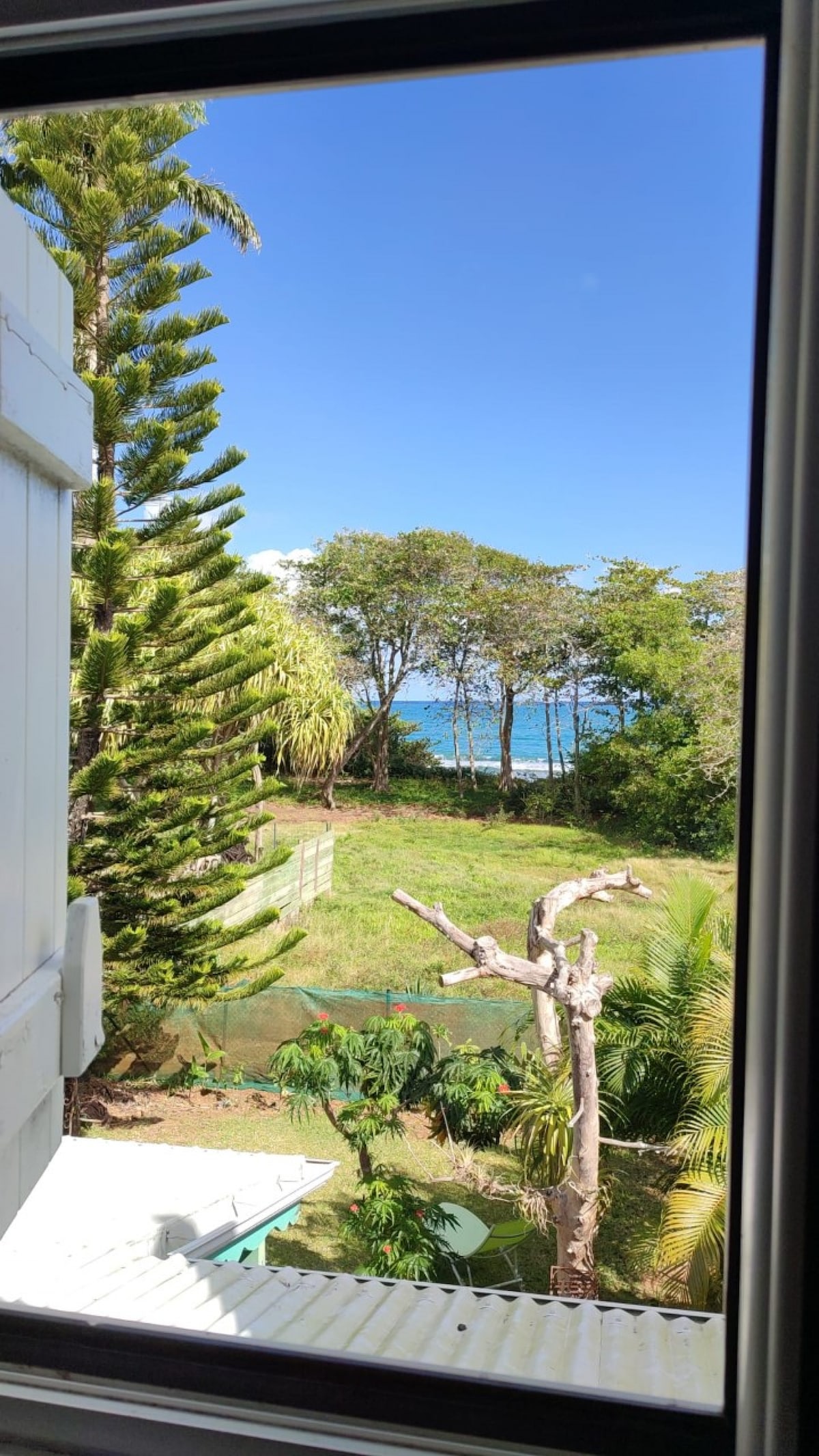 A view from the window reveals a lush green landscape, with tall trees and shrubs. In the distance, the calm blue waters are visible, framed by vibrant greenery, providing a serene outdoor setting.