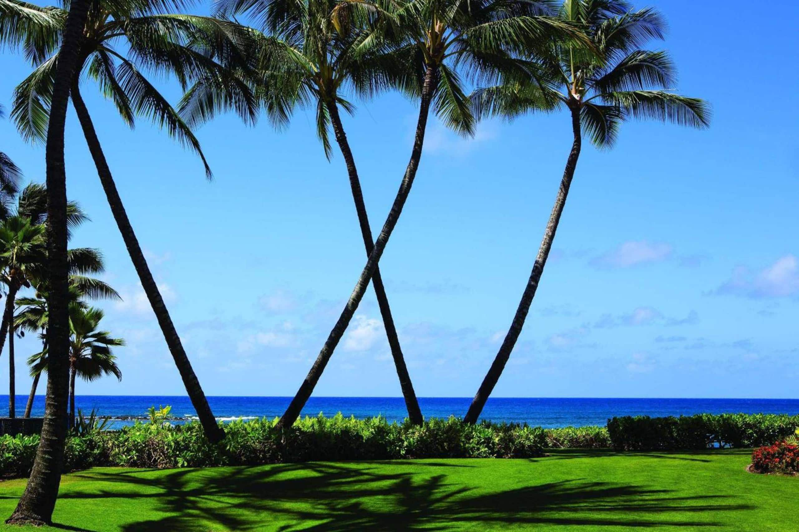 Condo in Koloa · ★5.0 · 2 bedrooms · 4 beds · 2 baths - Image 31