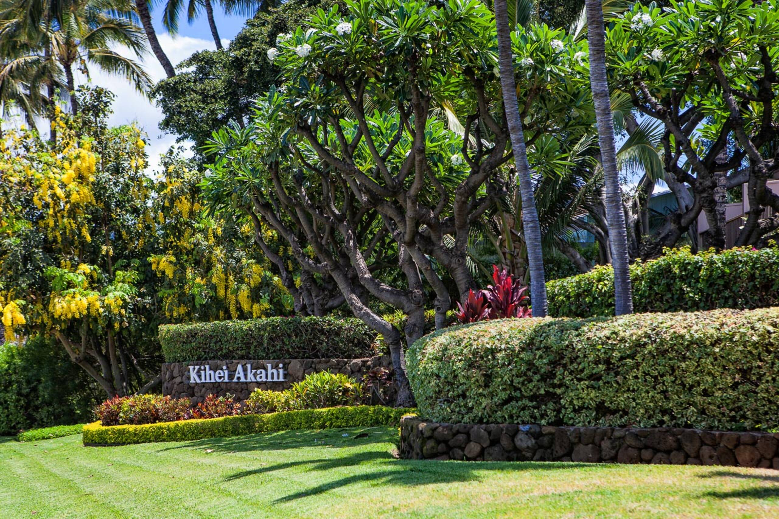 Condo in Kihei · ★4.29 · 2 bedrooms · 4 beds · 2 baths - Image 49
