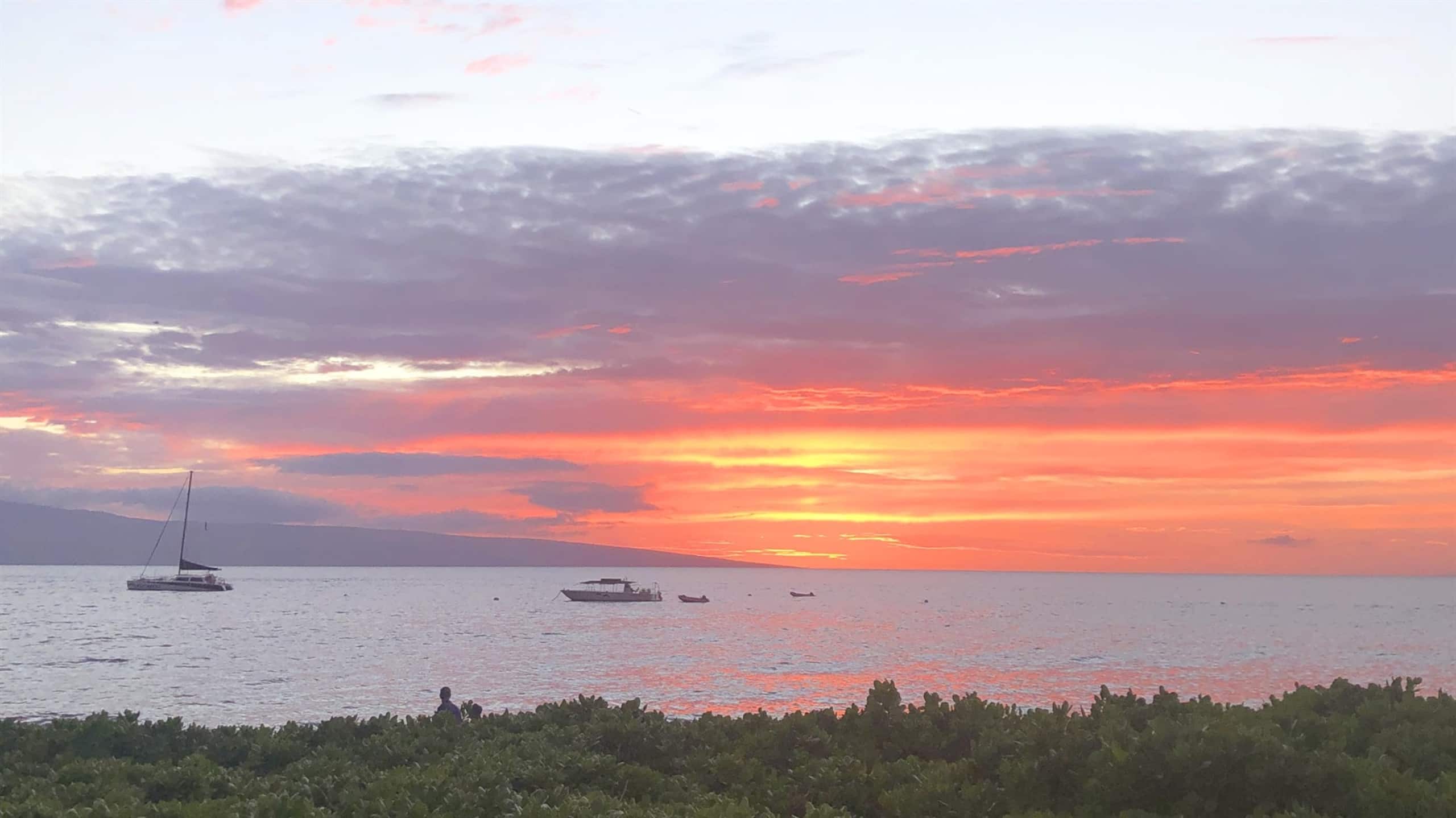 Condo in Lahaina · ★5.0 · 1 bedroom · 2 beds · 1 bath - Image 25