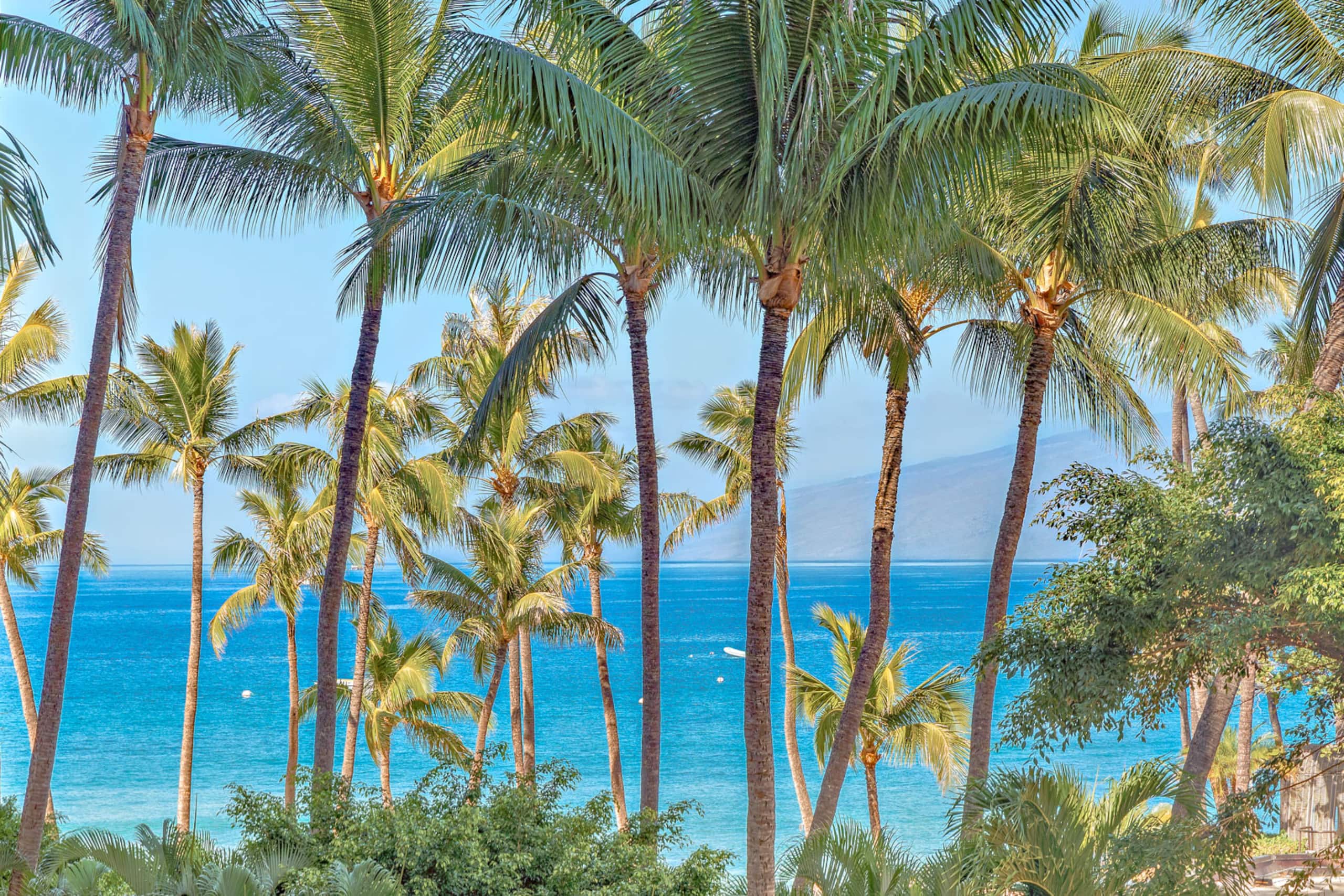 Condo in Lahaina · ★4.89 · 2 bedrooms · 3 beds · 2 baths - Image 1