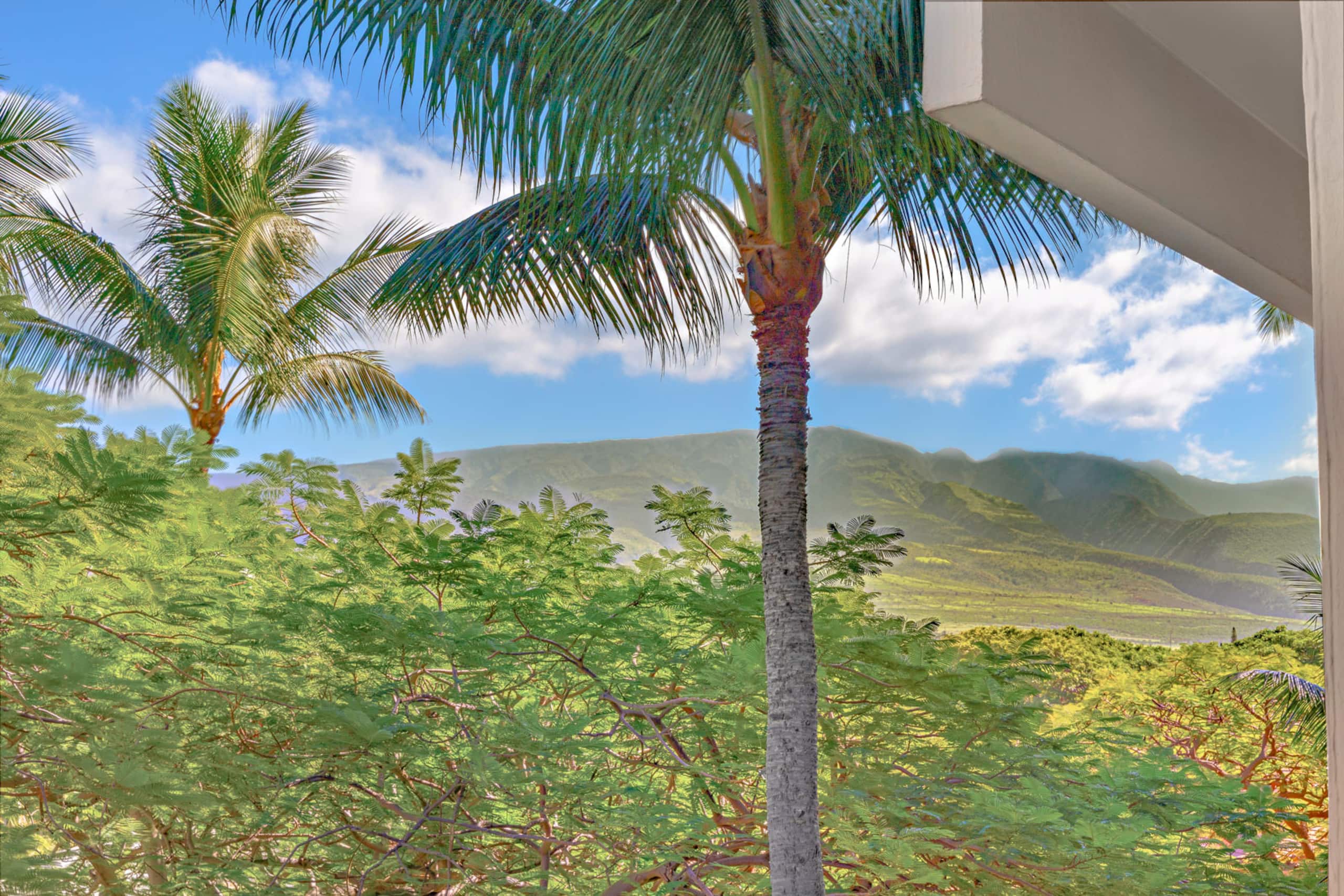 Condo in Lahaina · ★4.89 · 2 bedrooms · 3 beds · 2 baths - Image 18