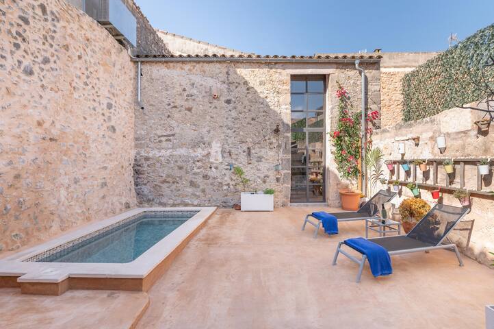 Cas Solleric gallery image 2