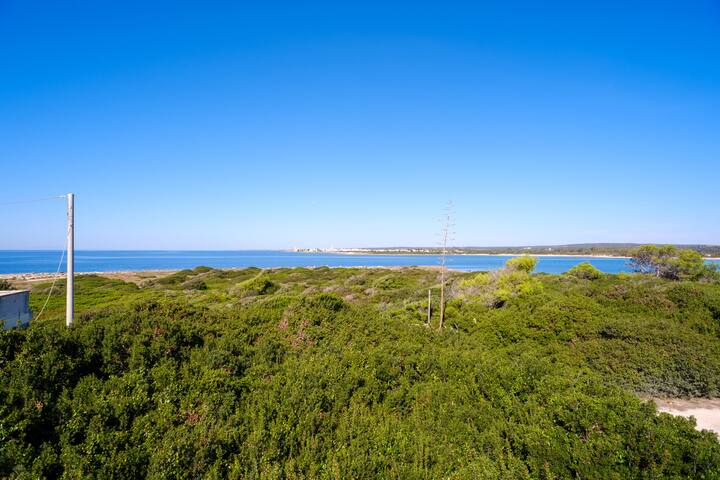 Villa Elena gallery image 2